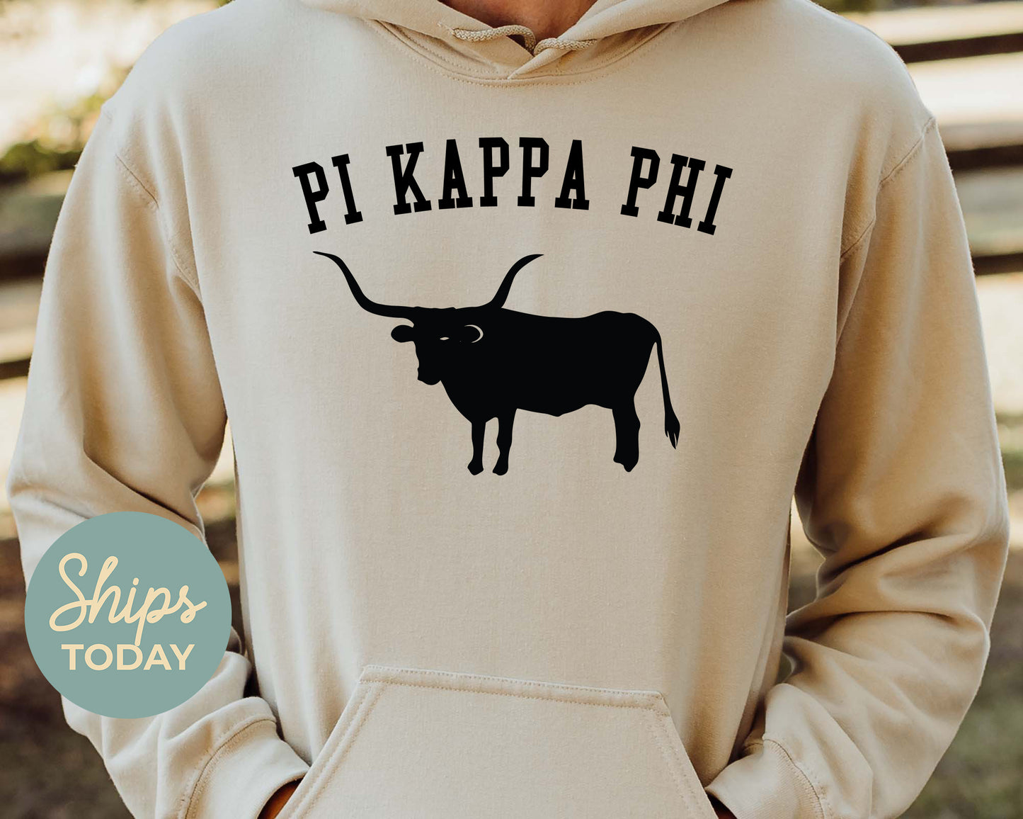 Pi Kappa Phi Long Horn Fraternity Hoodie _ 1543g