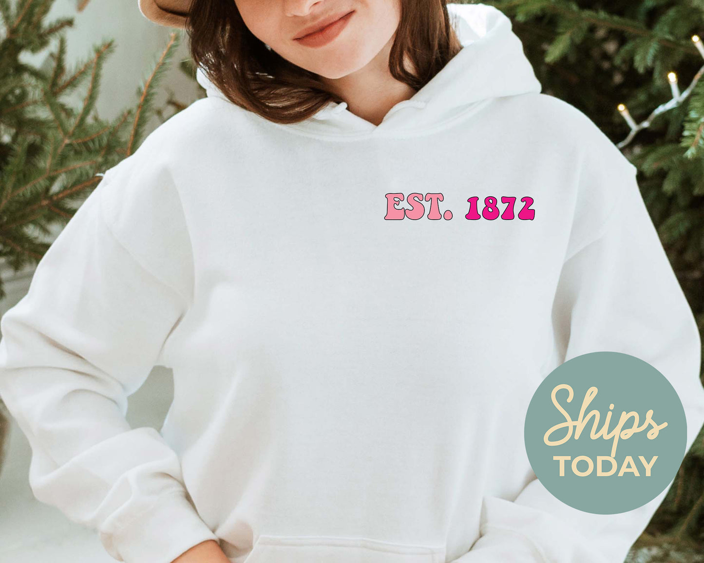 Alpha Phi Shades of Pink Sorority Hoodie _ 32977g