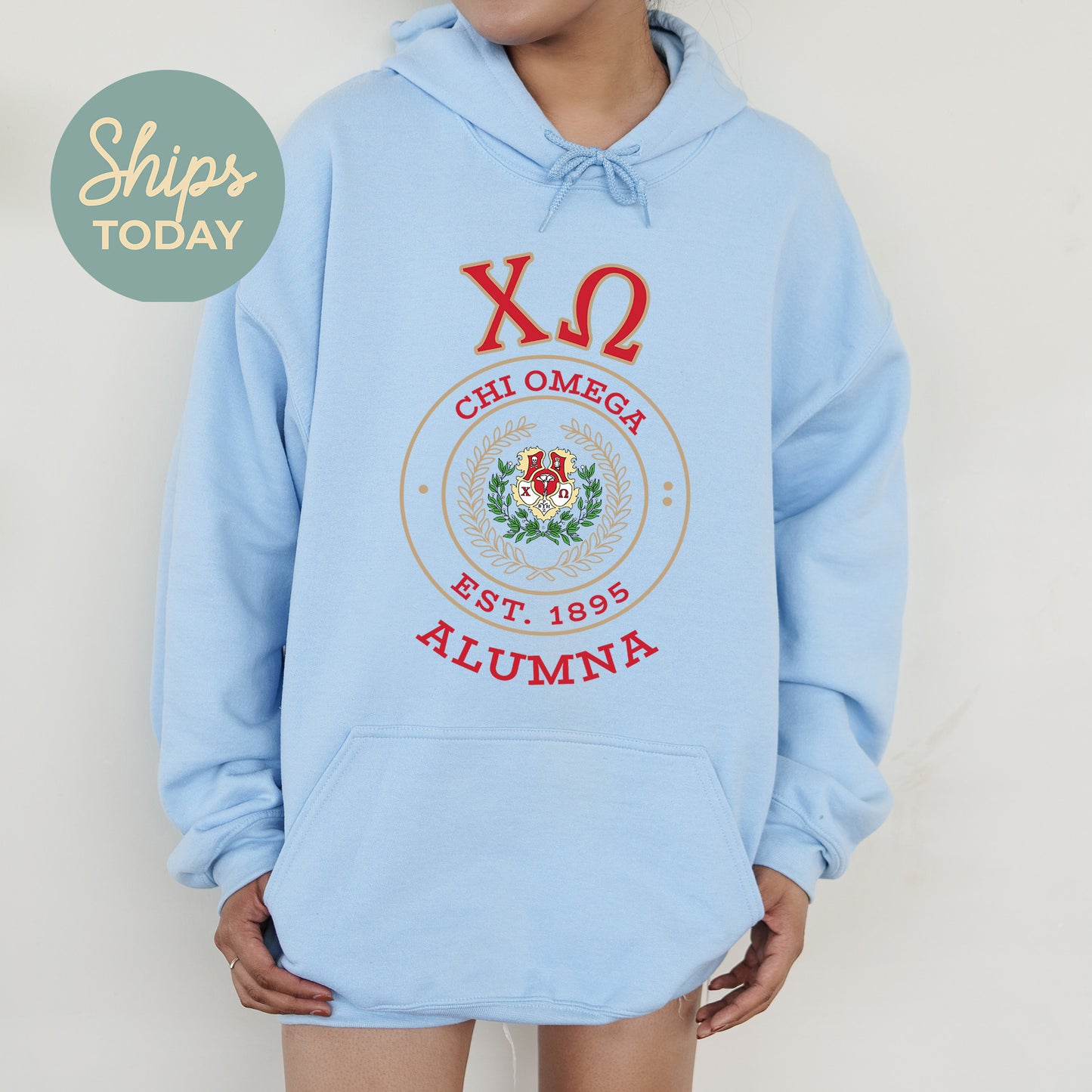 Chi Omega Alumna Vintage Sorority Hoodie _ 31018g