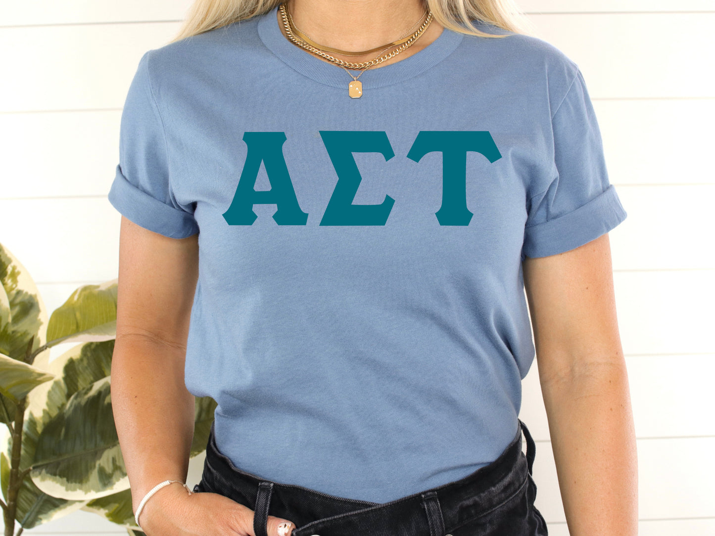 Alpha Sigma Tau Back to the Basics Sorority T-shirt _ 629g