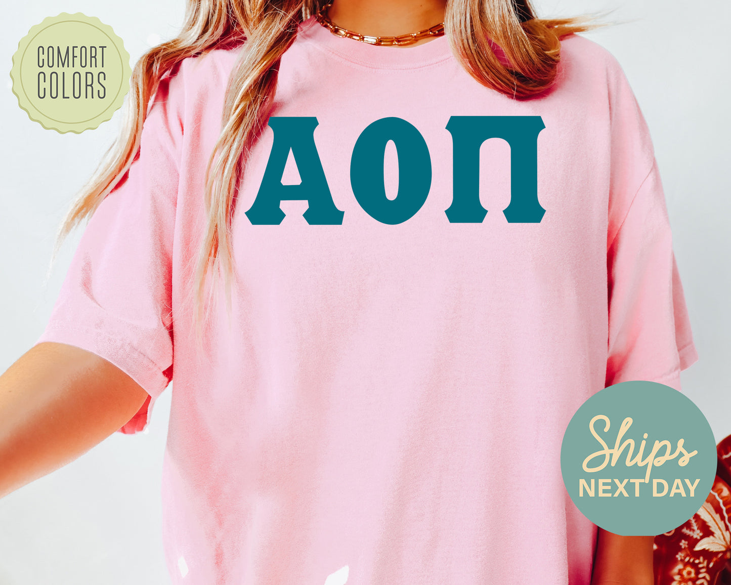 Alpha Omicron Pi Back to the Basics Comfort Colors Sorority T-shirt _ 626g