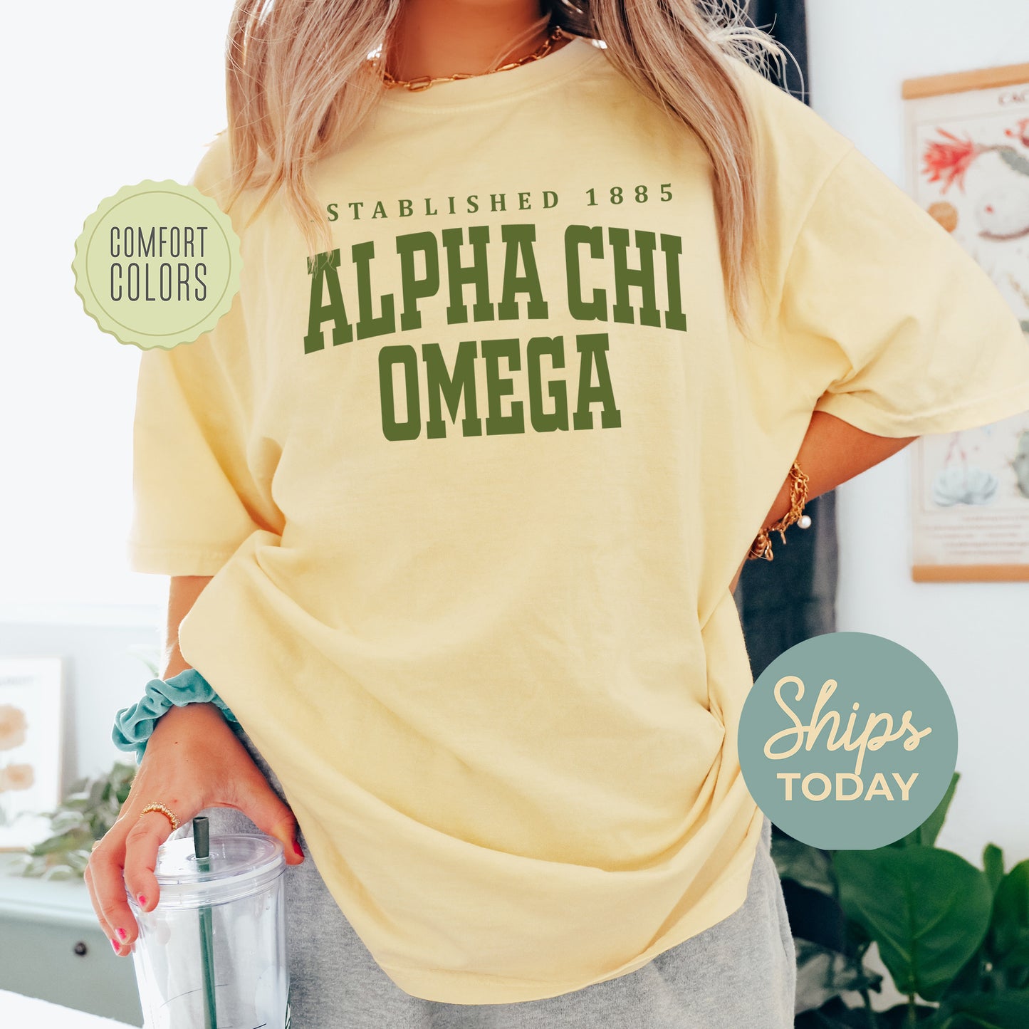 Alpha Chi Omega Bold Letters Comfort Colors Sorority T-shirt _ 35120g