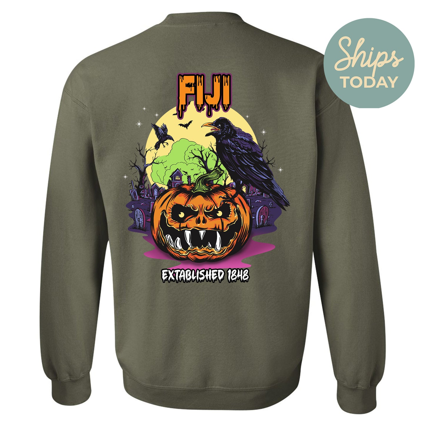 FIJI Halloween Bats Fraternity Sweatshirt _ 36266g