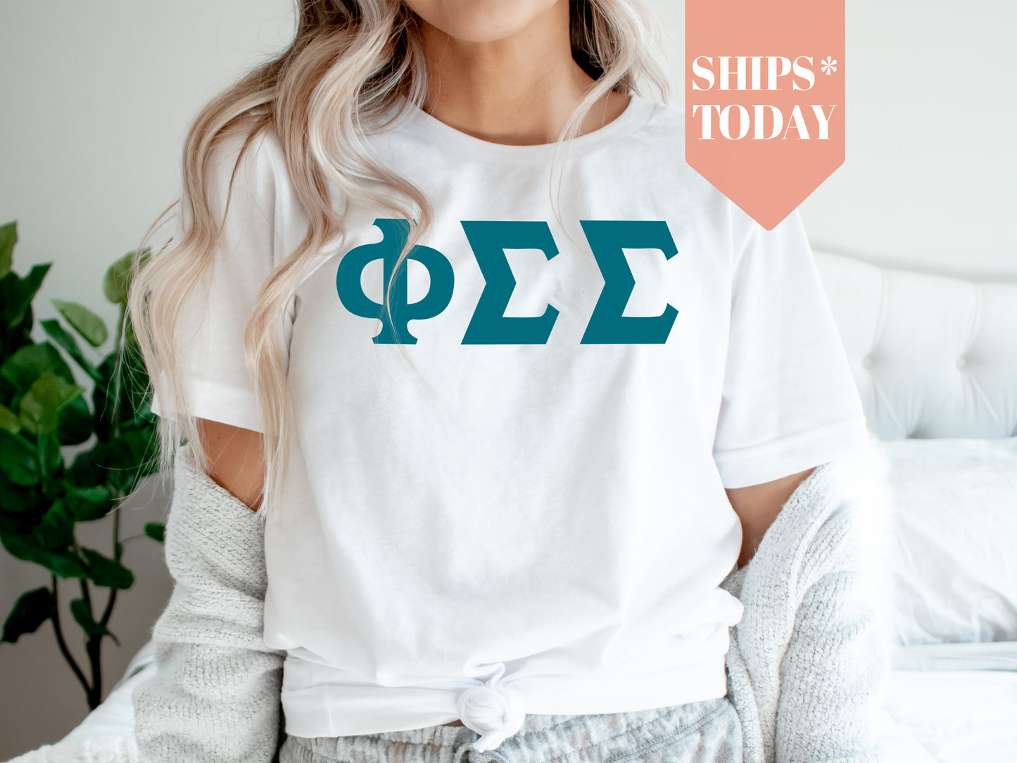 Phi Sigma Sigma Back to the Basics Sorority T-shirt _ 641g
