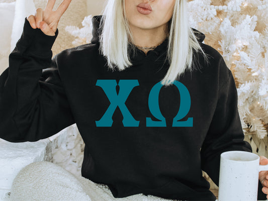 Chi Omega Back to the Basics Sorority Hoodie _ 631g