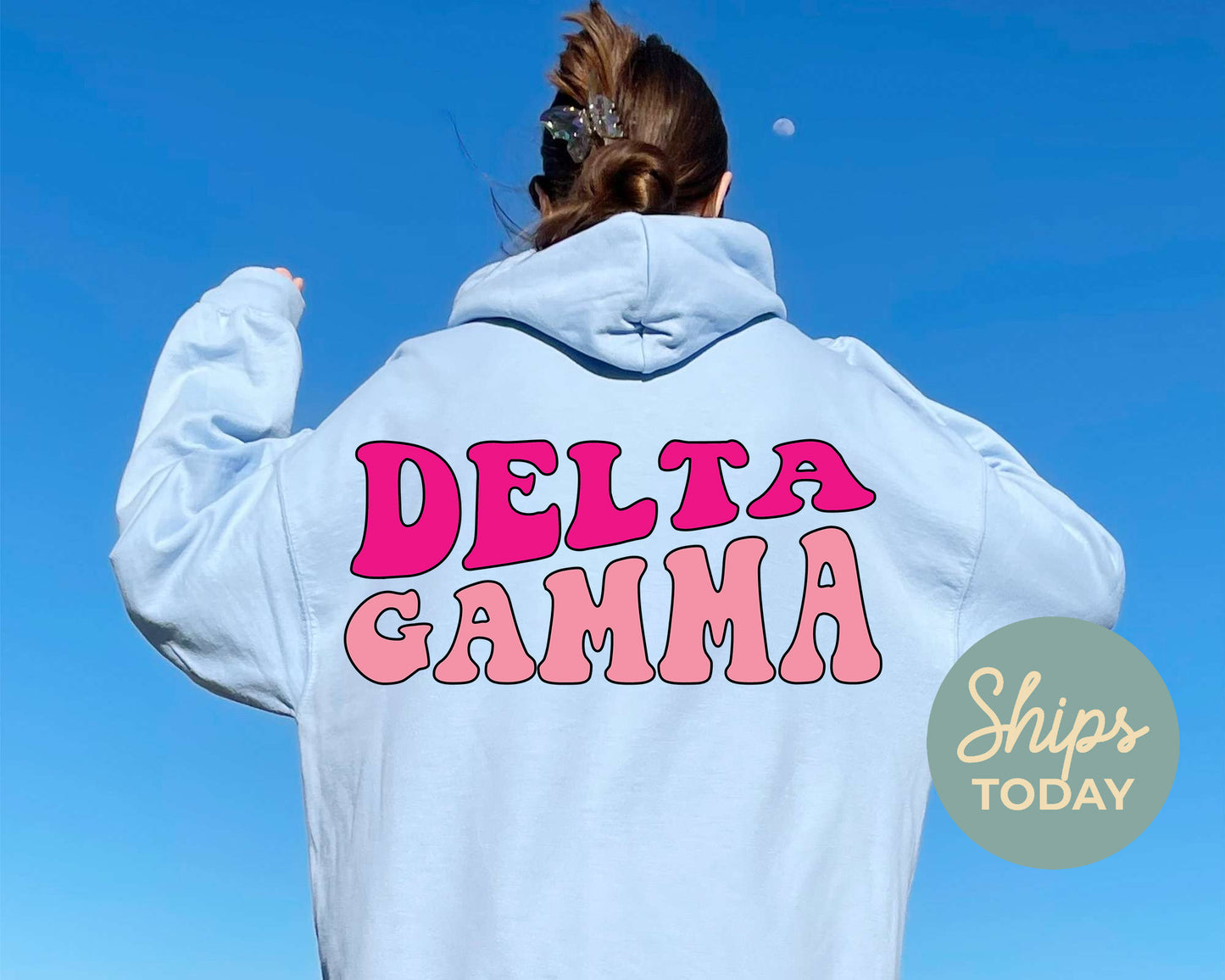 Delta Gamma Shades of Pink Sorority Hoodie _ 32983g