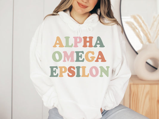 Alpha Omega Epsilon Bright and Colorful Sorority Hoodie _ 3468g