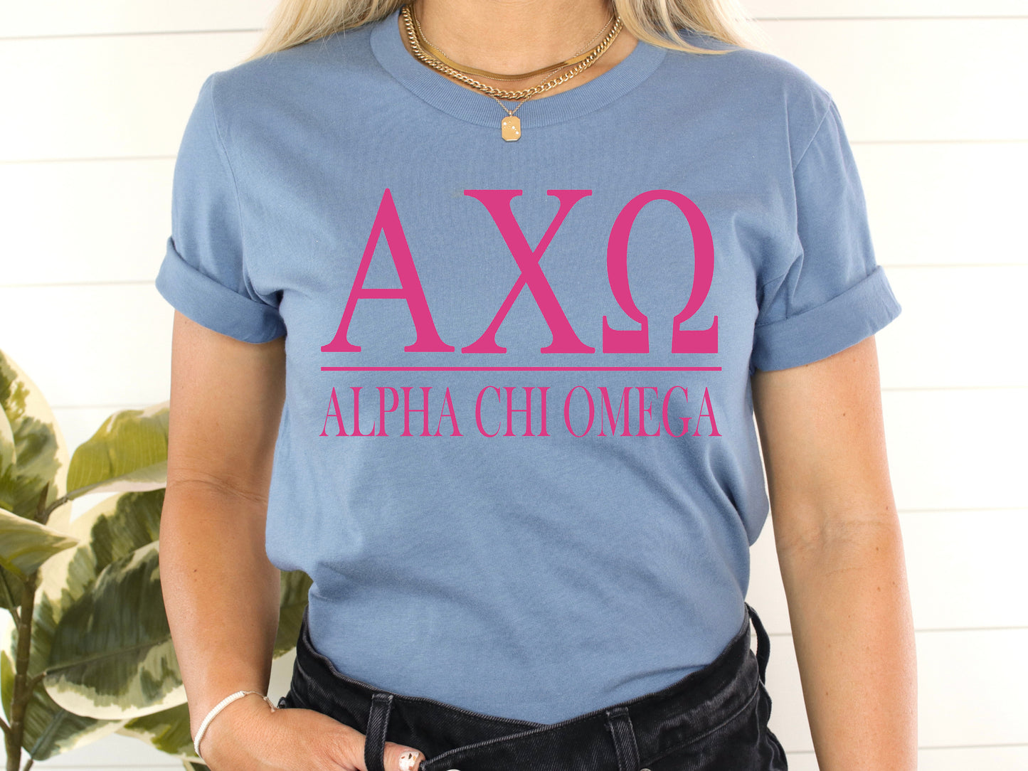 Alpha Chi Omega Loud Letters Sorority T-shirt _ 466g