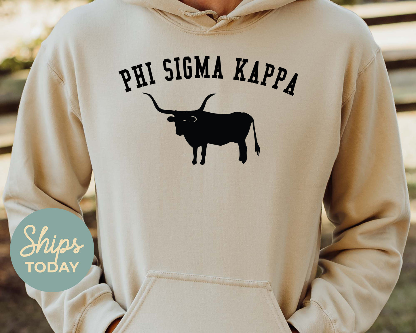 Phi Sigma Kappa Long Horn Fraternity Hoodie _ 1541g