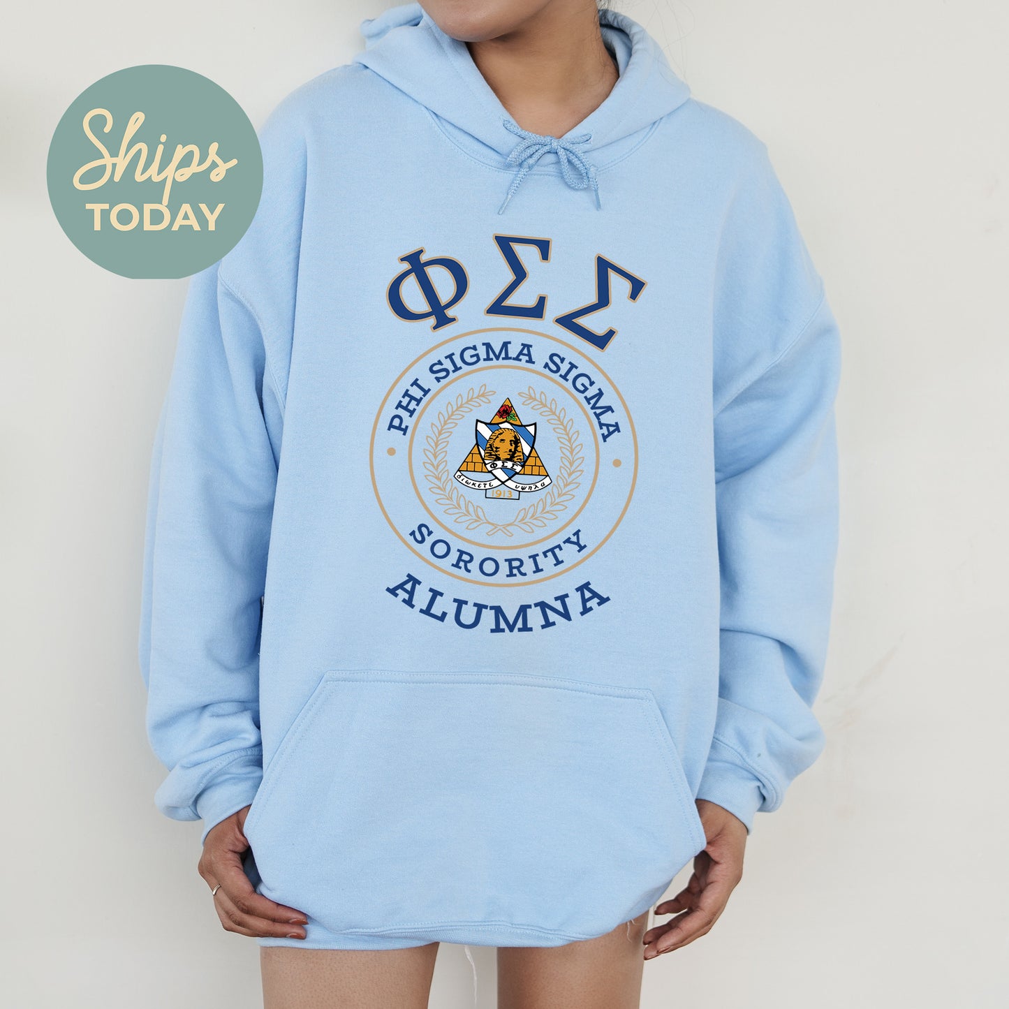 Sigma Kappa Alumna Vintage Sorority Hoodie _ 31031g