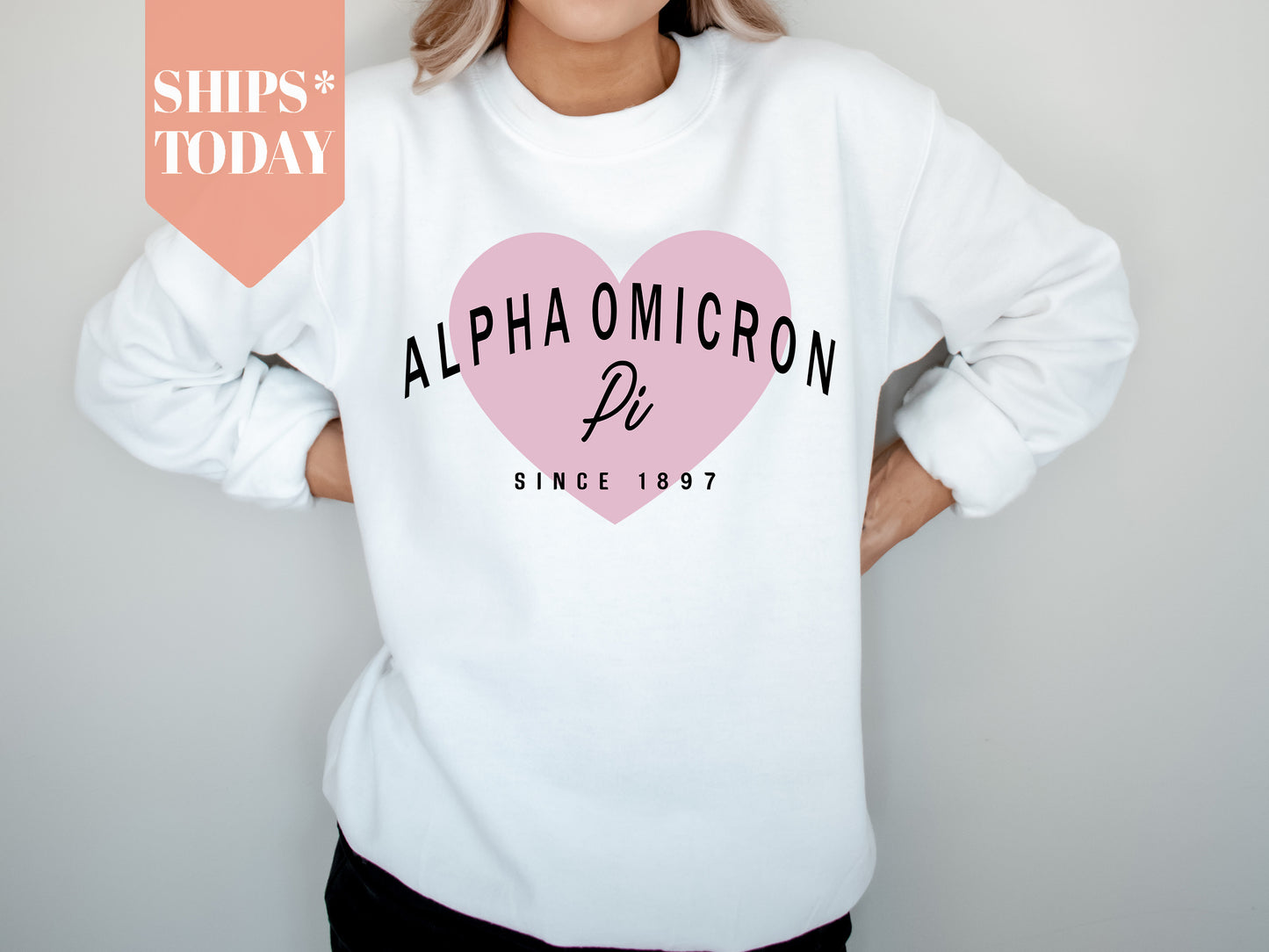 Alpha Omicron Pi Pretty in Pink Sorority Sweatshirt _ 444g
