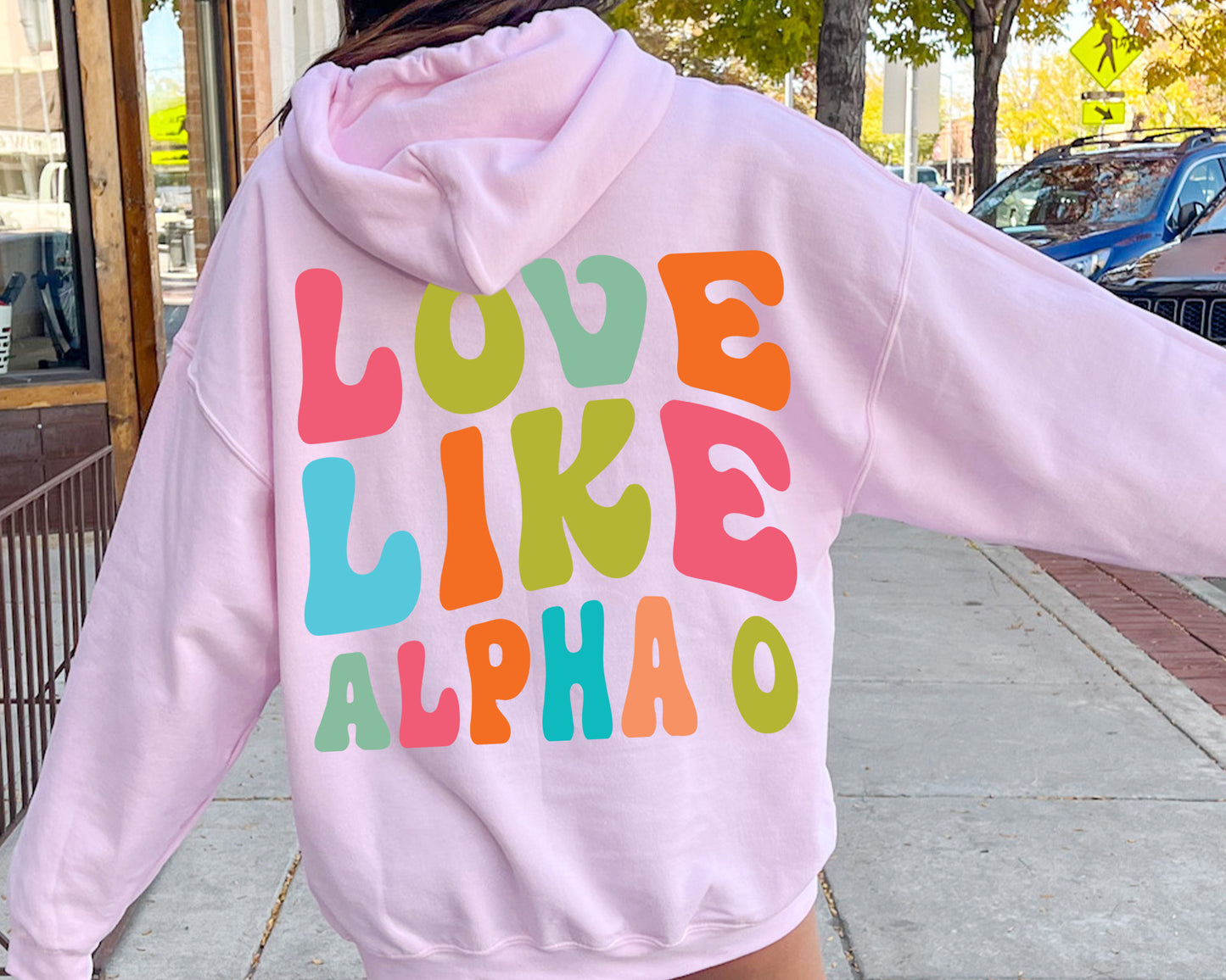 Alpha Omicron Pi Blissful and Vibrant Sorority Hoodie _ 33158g