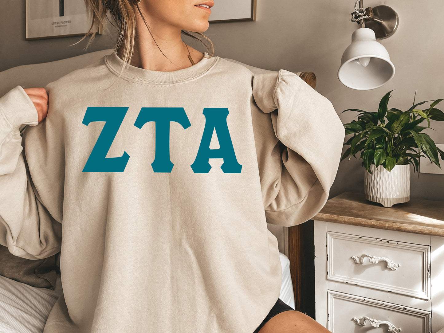 Zeta Tau Alpha Back to the Basics Sorority Sweatshirt _ 647g