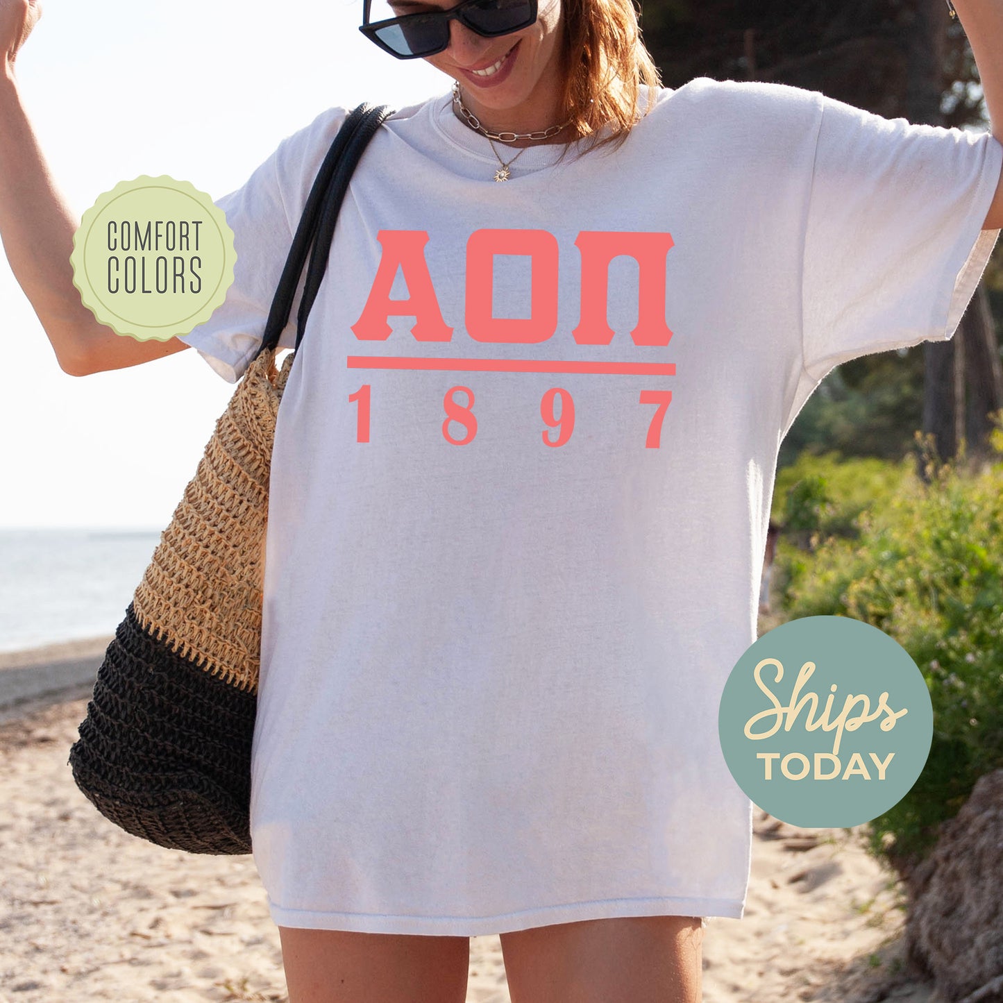 Alpha Omicron Pi Monochromatic Comfort Colors Sorority T-shirt _ 30847g