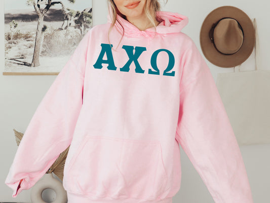Alpha Chi Omega Back to the Basics Sorority Hoodie _ 622g