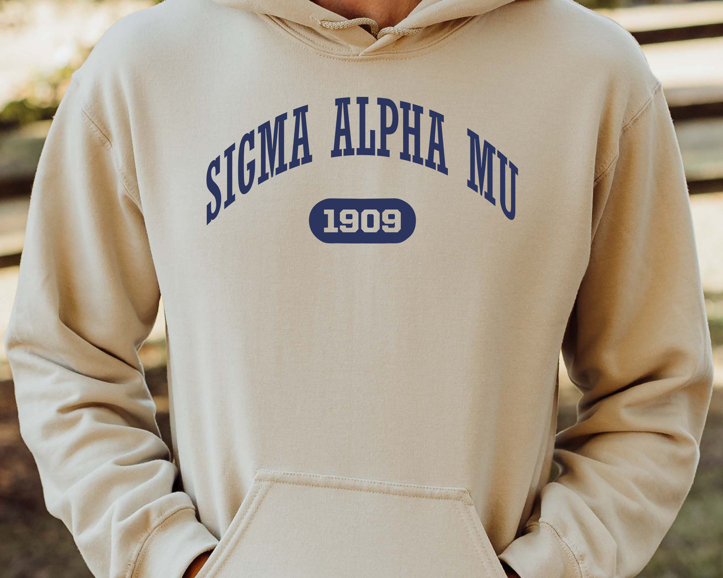 Sigma Alpha Mu Fraternal Arch Fraternity Hoodie _ 929g