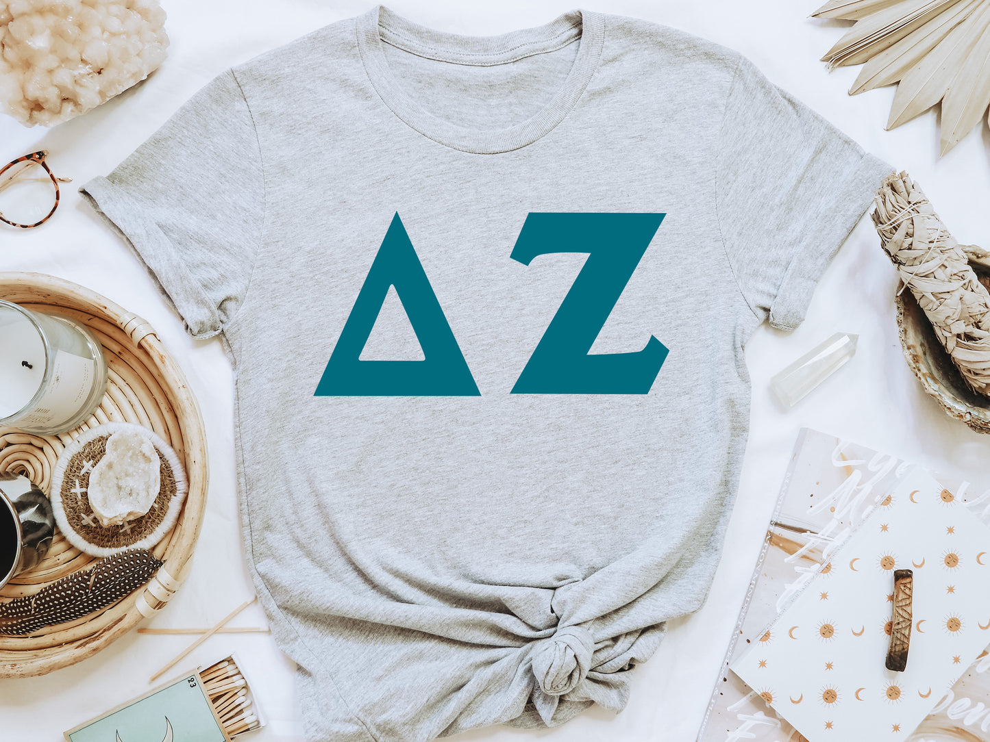 Delta Zeta Back to the Basics Sorority T-shirt _ 635g
