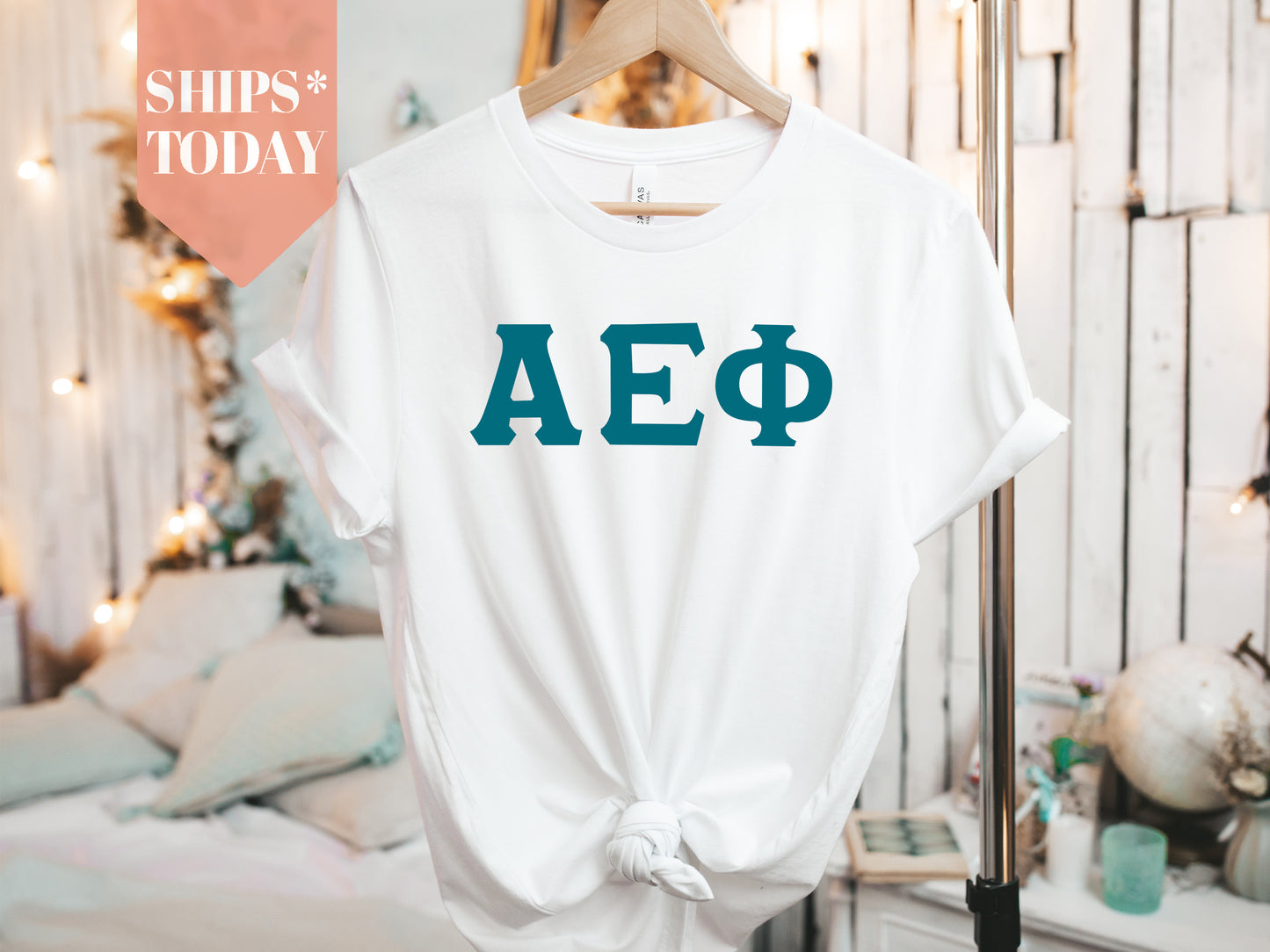 Alpha Epsilon Phi Back to the Basics Sorority T-shirt _ 624g