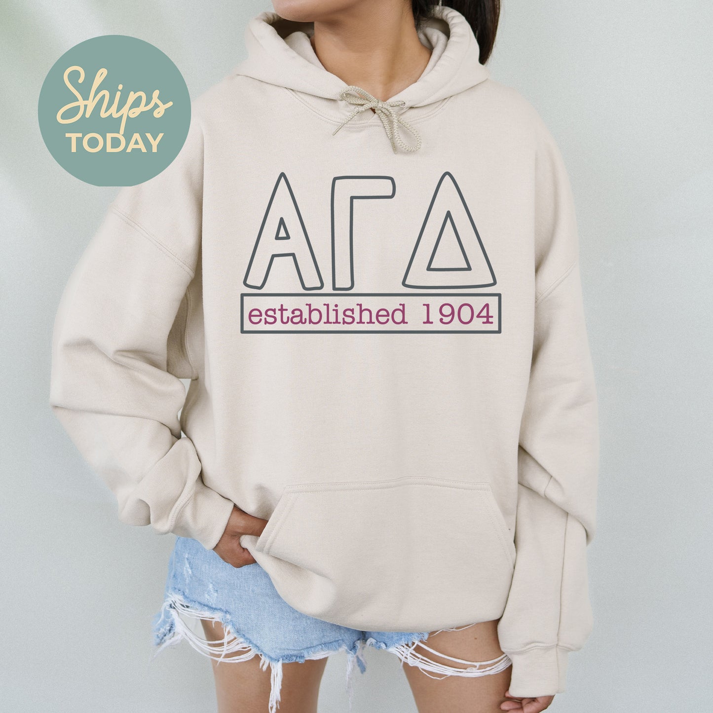 Alpha Gamma Delta Simply Greek Sorority Hoodie _ 39339g