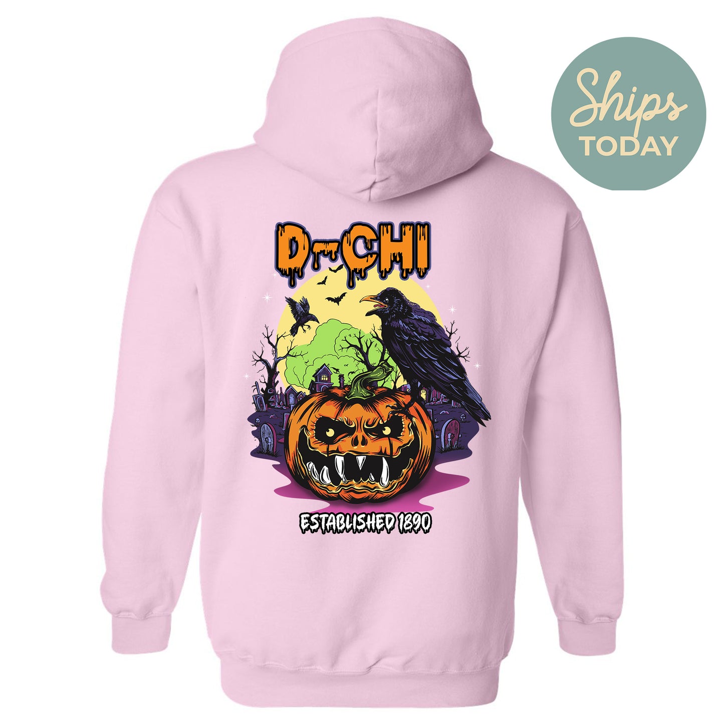 Delta Chi Halloween Bats Fraternity Hoodie _ 36258g