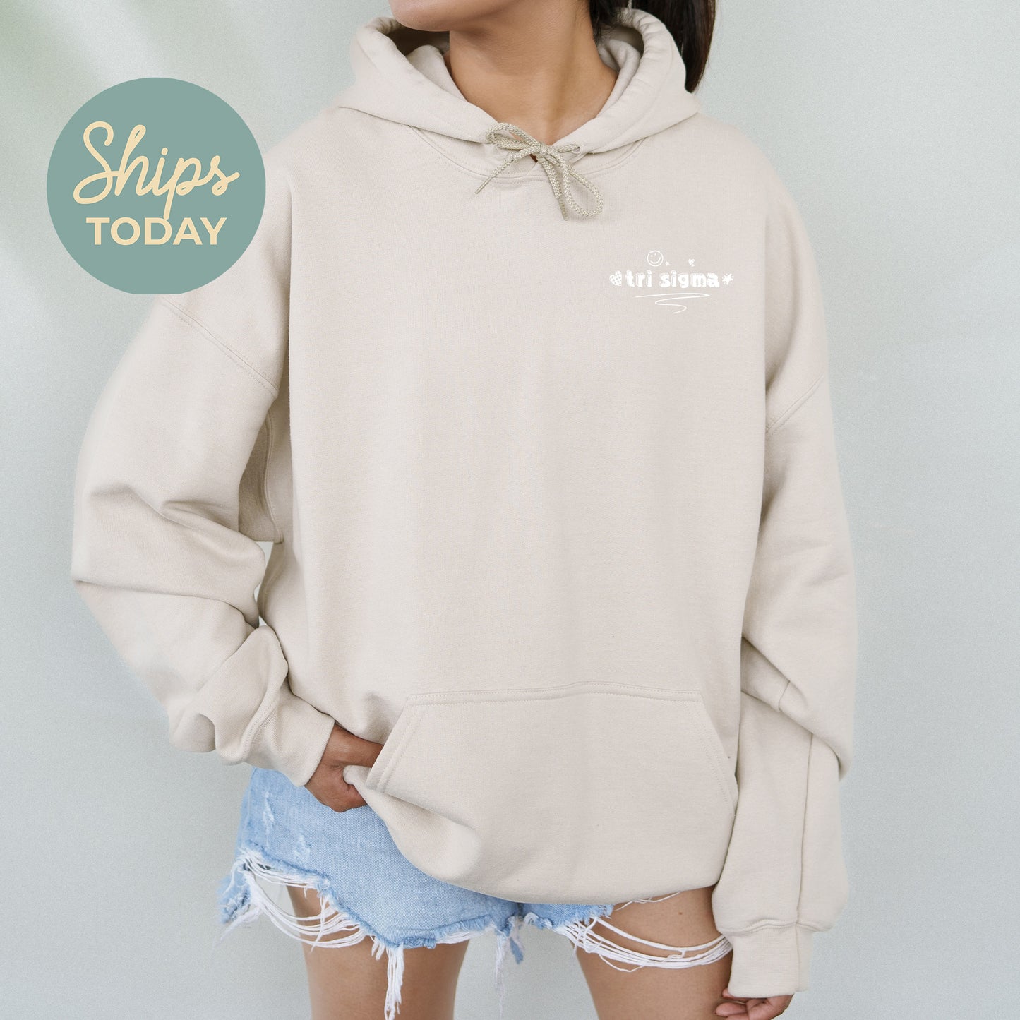 Sigma Sigma Sigma Fun Letters Sorority Hoodie _ 39239g