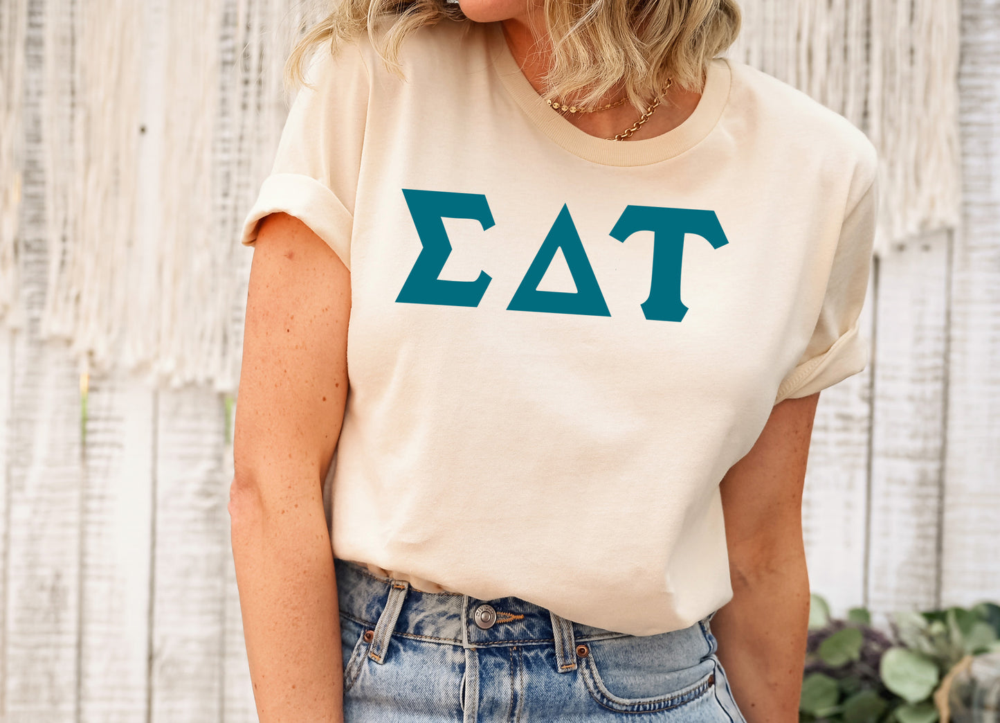 Sigma Delta Tau Back to the Basics Sorority T-shirt _ 643g