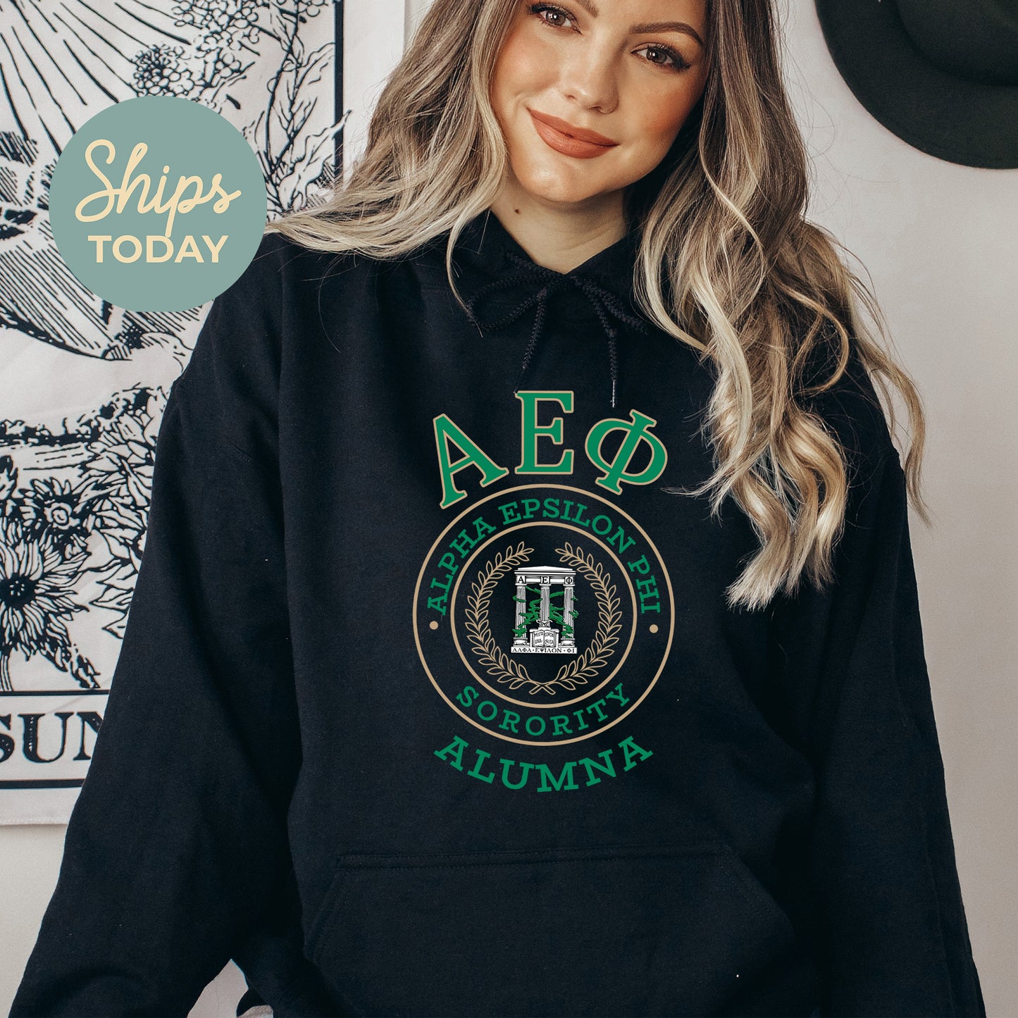 Alpha Epsilon Phi Alumna Vintage Sorority Hoodie _ 31011g