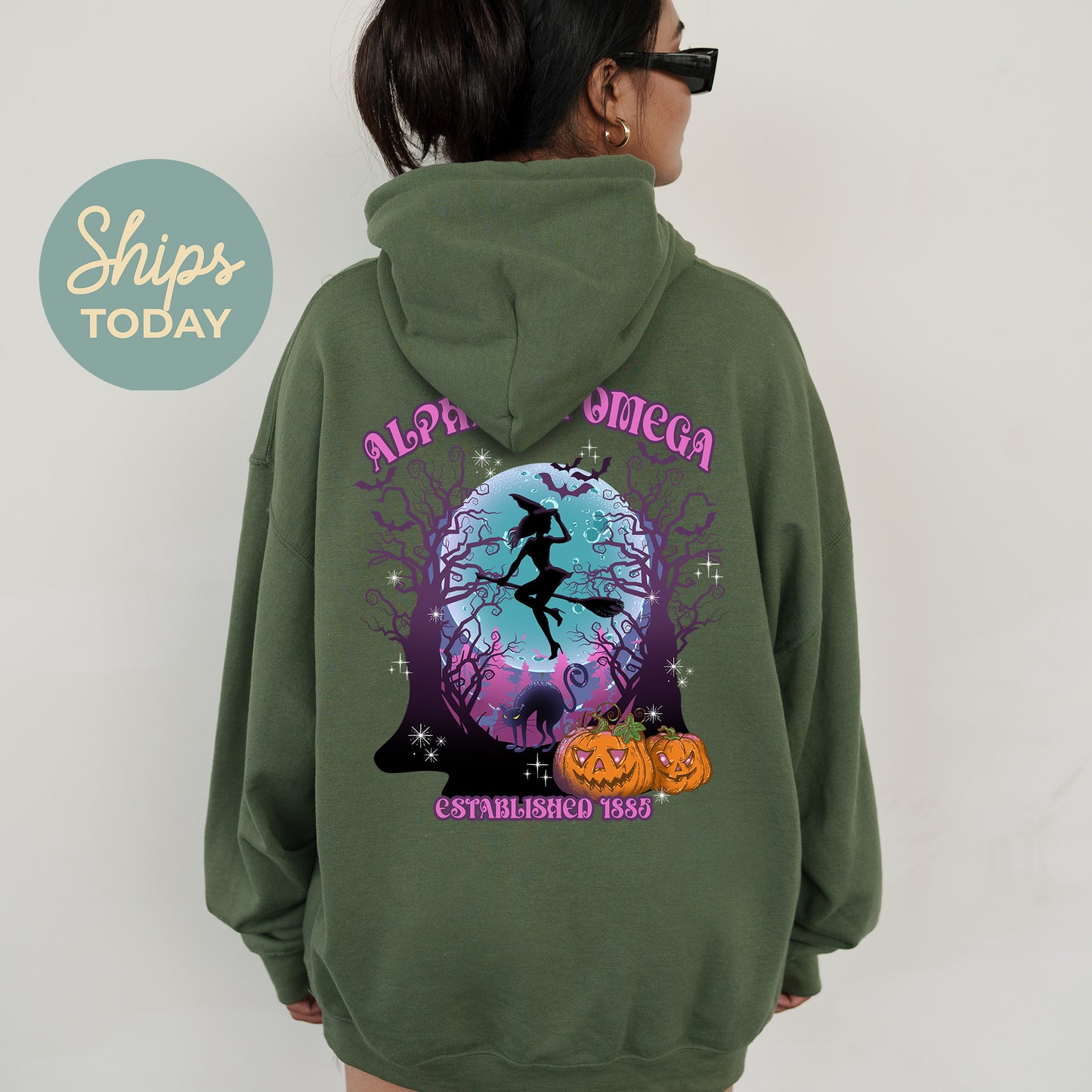 Alpha Chi Omega Halloween Witch Sorority Hoodie _ 36226g