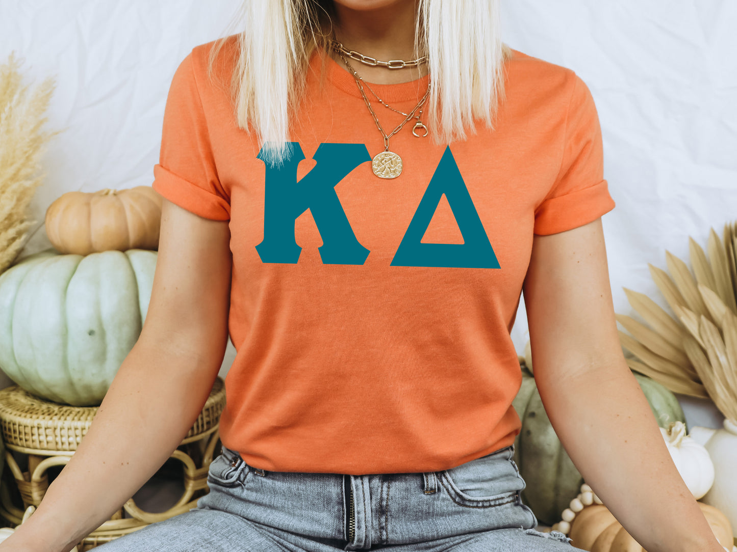 Kappa Kappa Gamma Back to the Basics Sorority T-shirt _ 639g