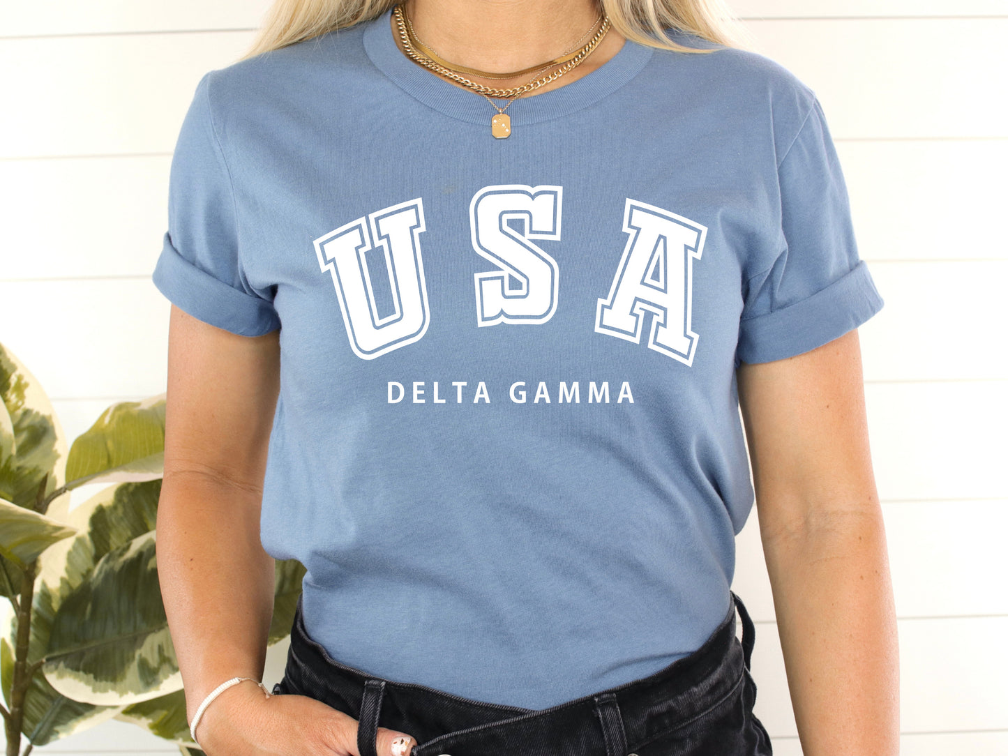 Delta Gamma Proud American Sorority T-shirt _ 2302g