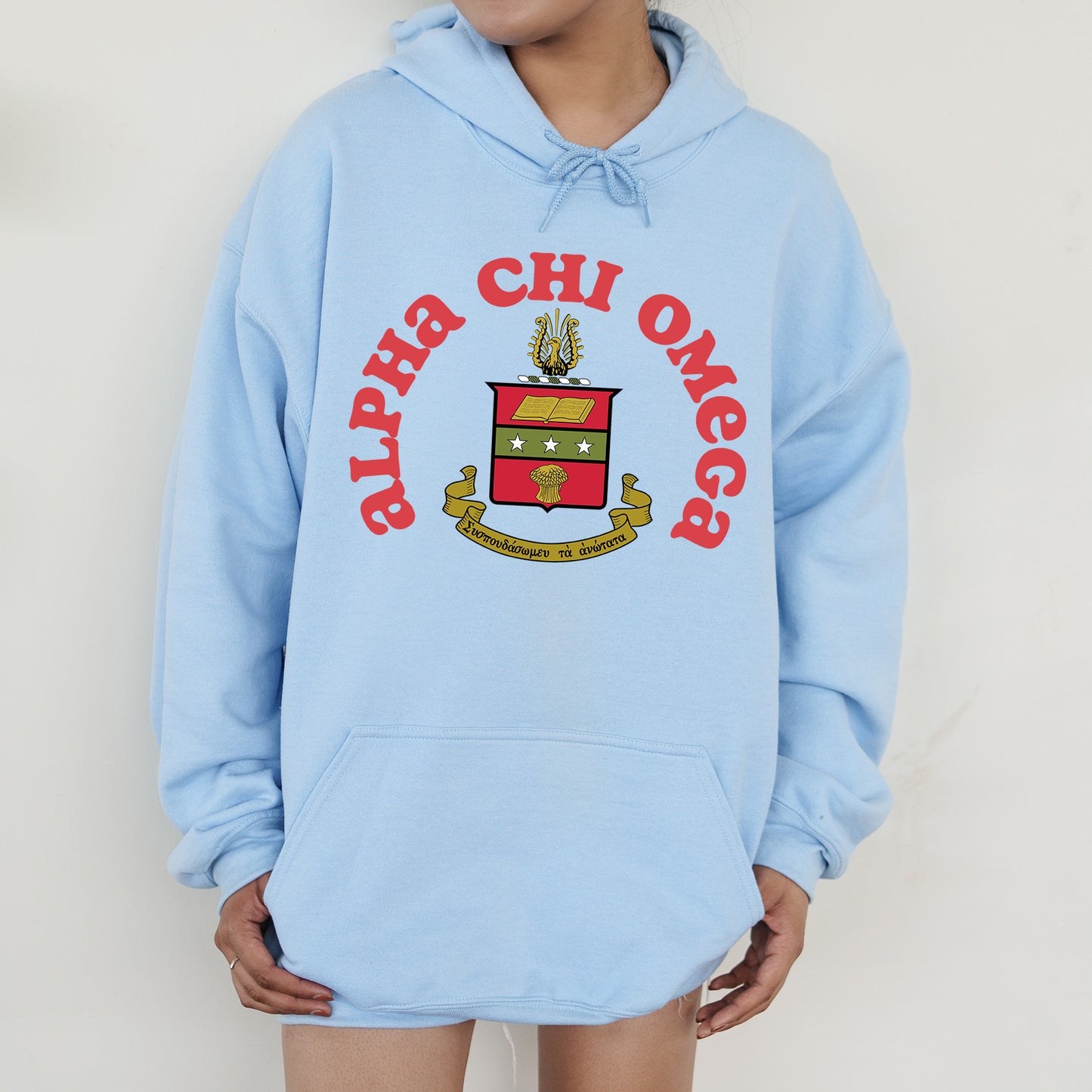 a person wearing a blue hoodie with a crest on it