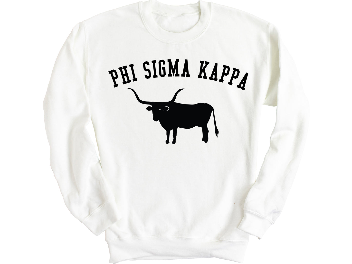 Phi Sigma Kappa Long Horn Fraternity Sweatshirt _ 1541g