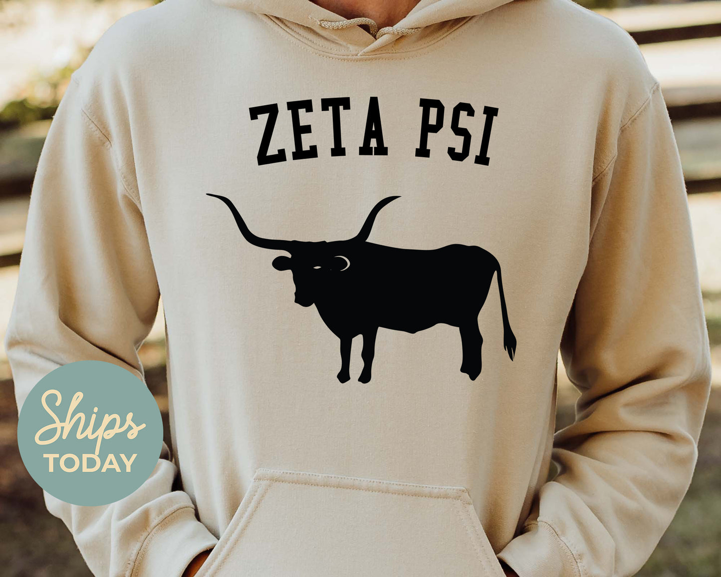 Zeta Psi Long Horn Fraternity Hoodie _ 1554g