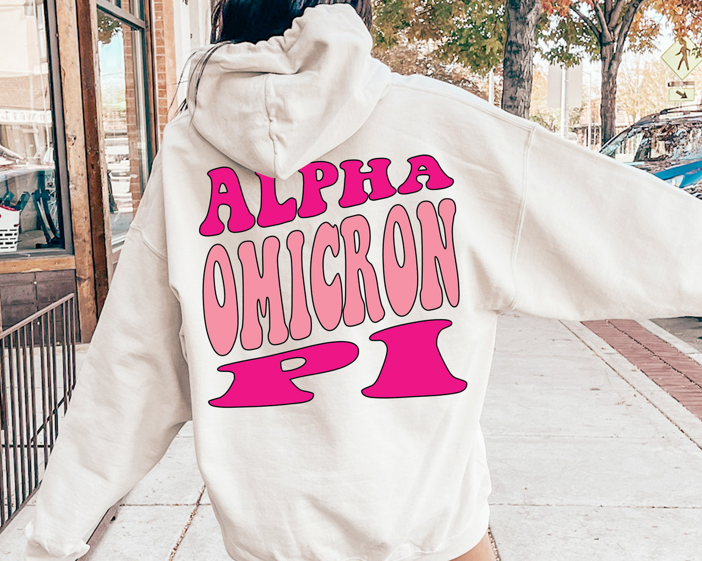 Alpha Omicron Pi Shades of Pink Sorority Hoodie _ 32976g