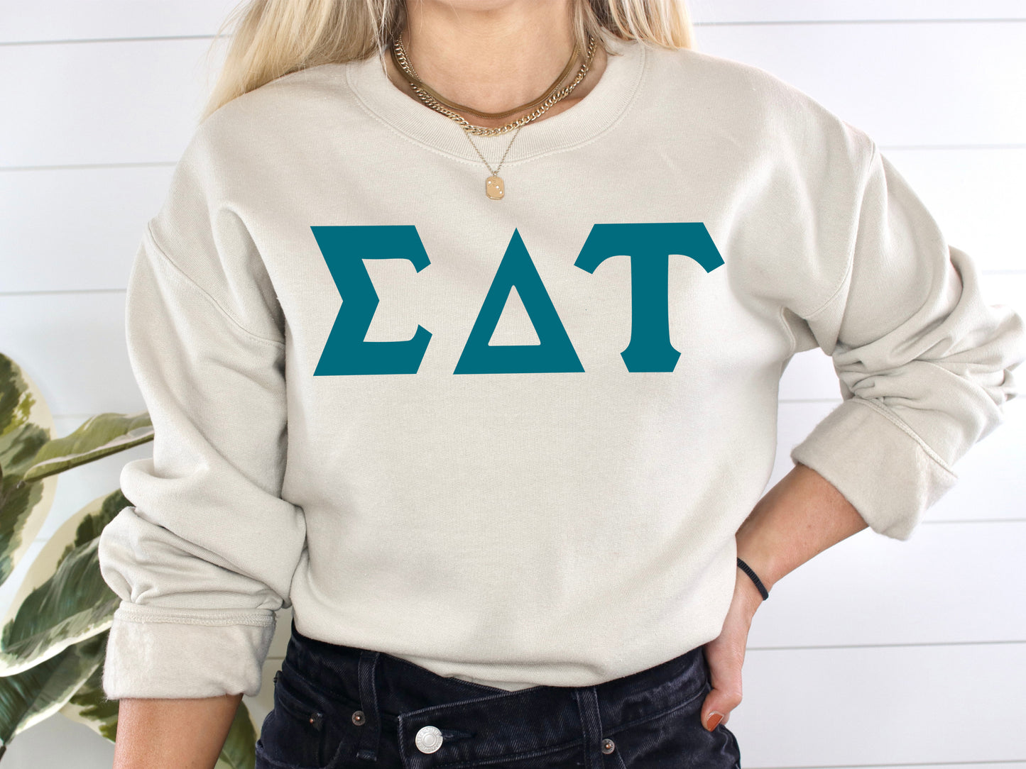 Sigma Delta Tau Back to the Basics Sorority Sweatshirt _ 643g