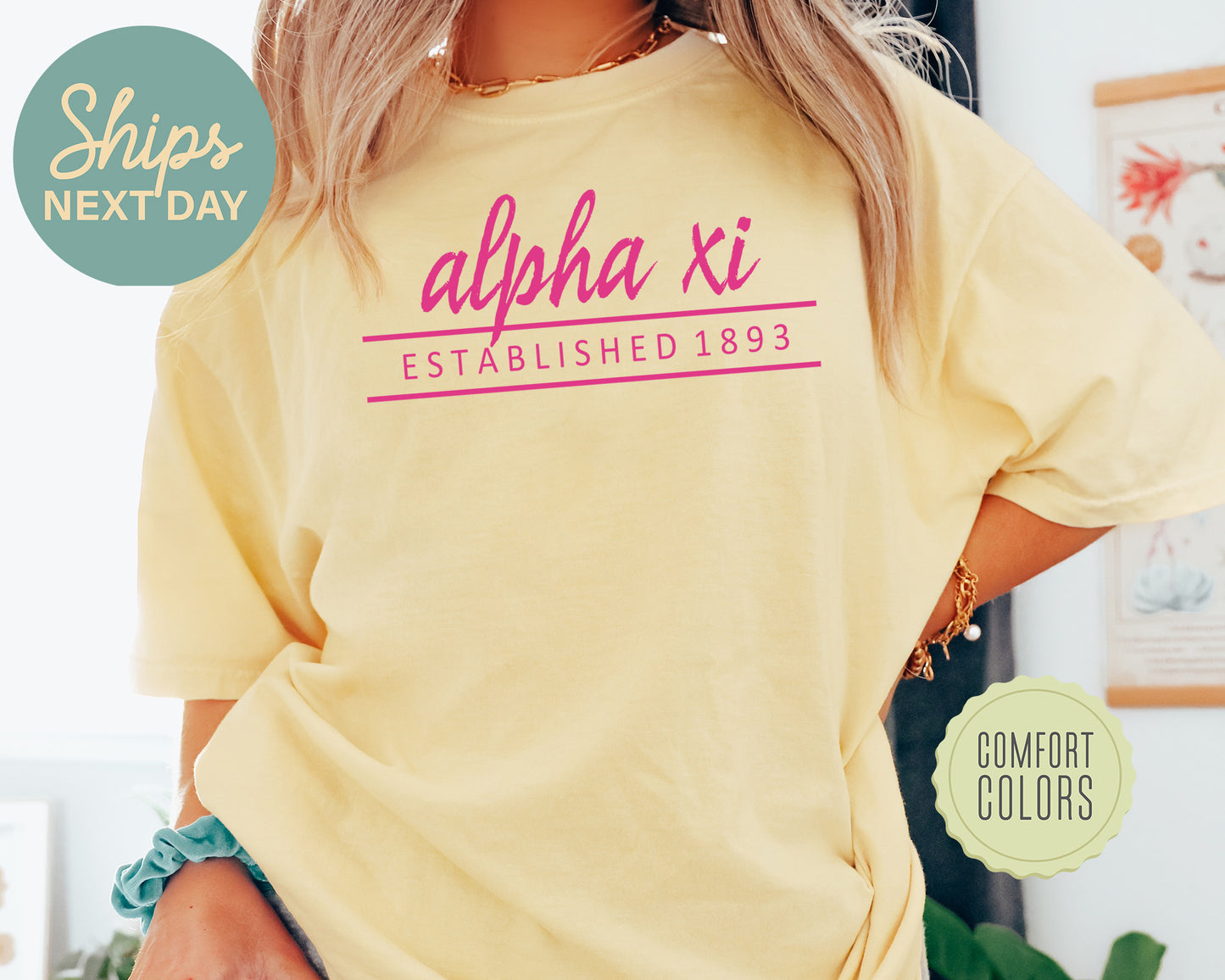 Alpha Xi Delta All Pink Comfort Colors Sorority T-shirt _ 760g