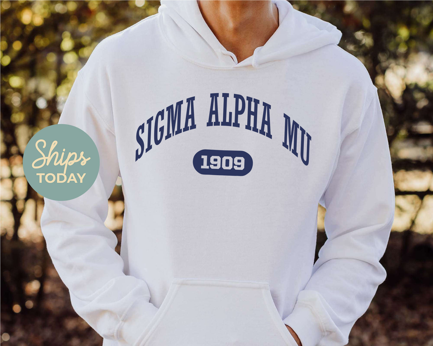 Sigma Alpha Mu Fraternal Arch Fraternity Hoodie _ 929g