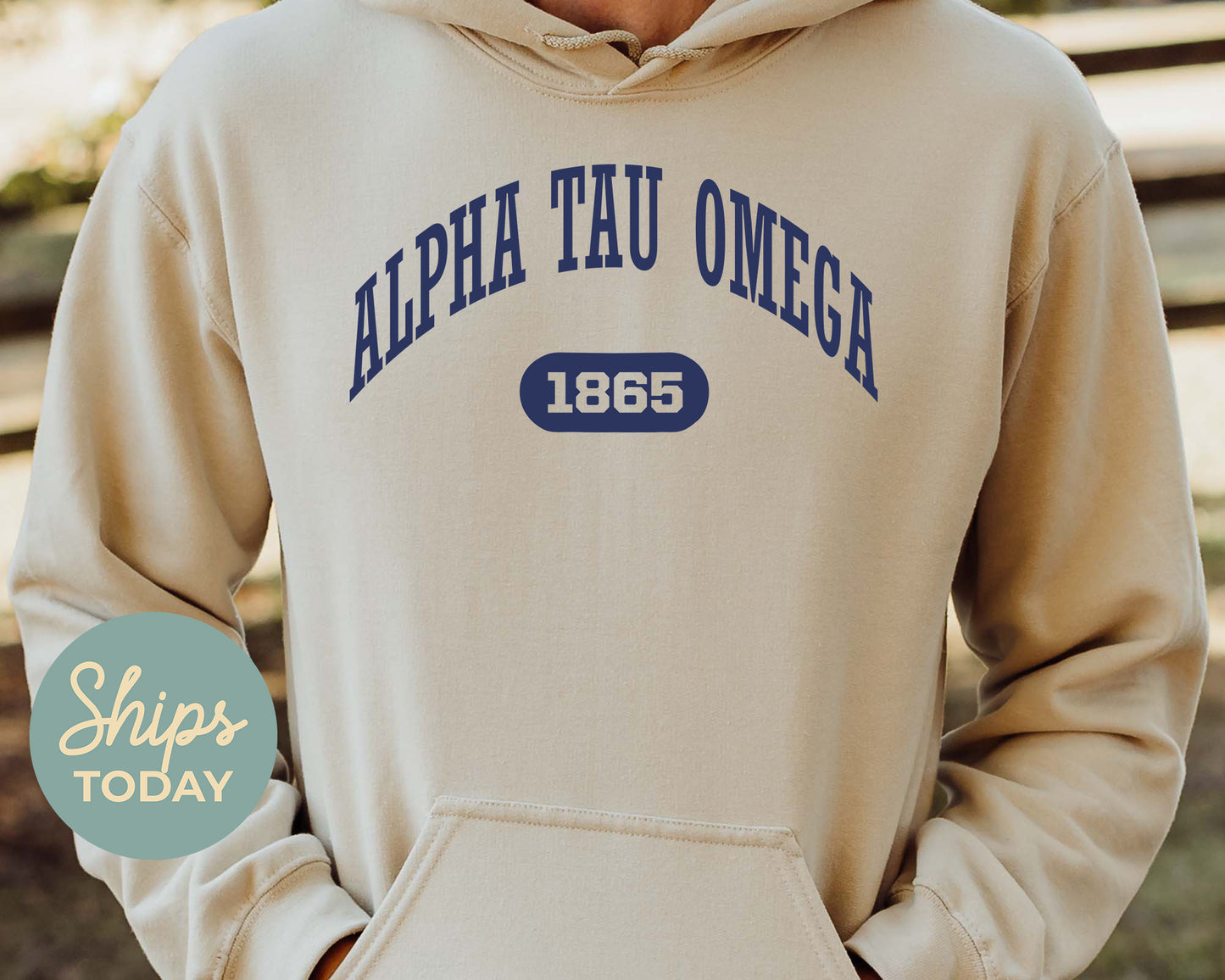 Alpha Tau Omega Fraternal Arch Fraternity Hoodie _ 911g