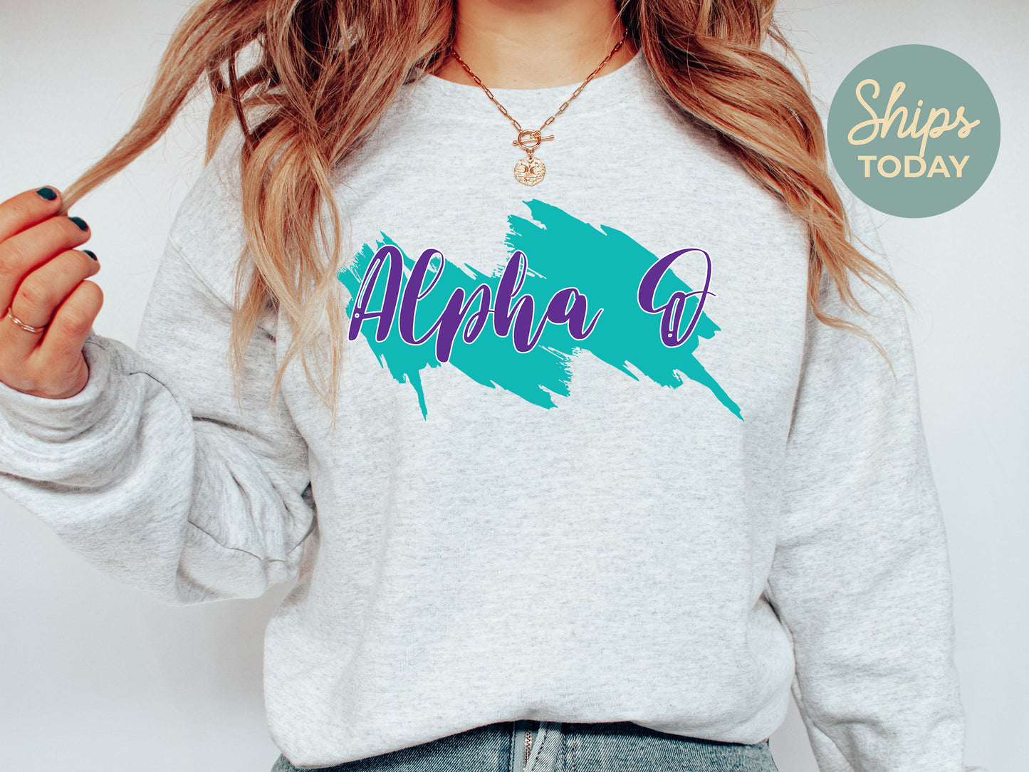Alpha Omicron Pi Paint Party Sorority Sweatshirt _ 4476g