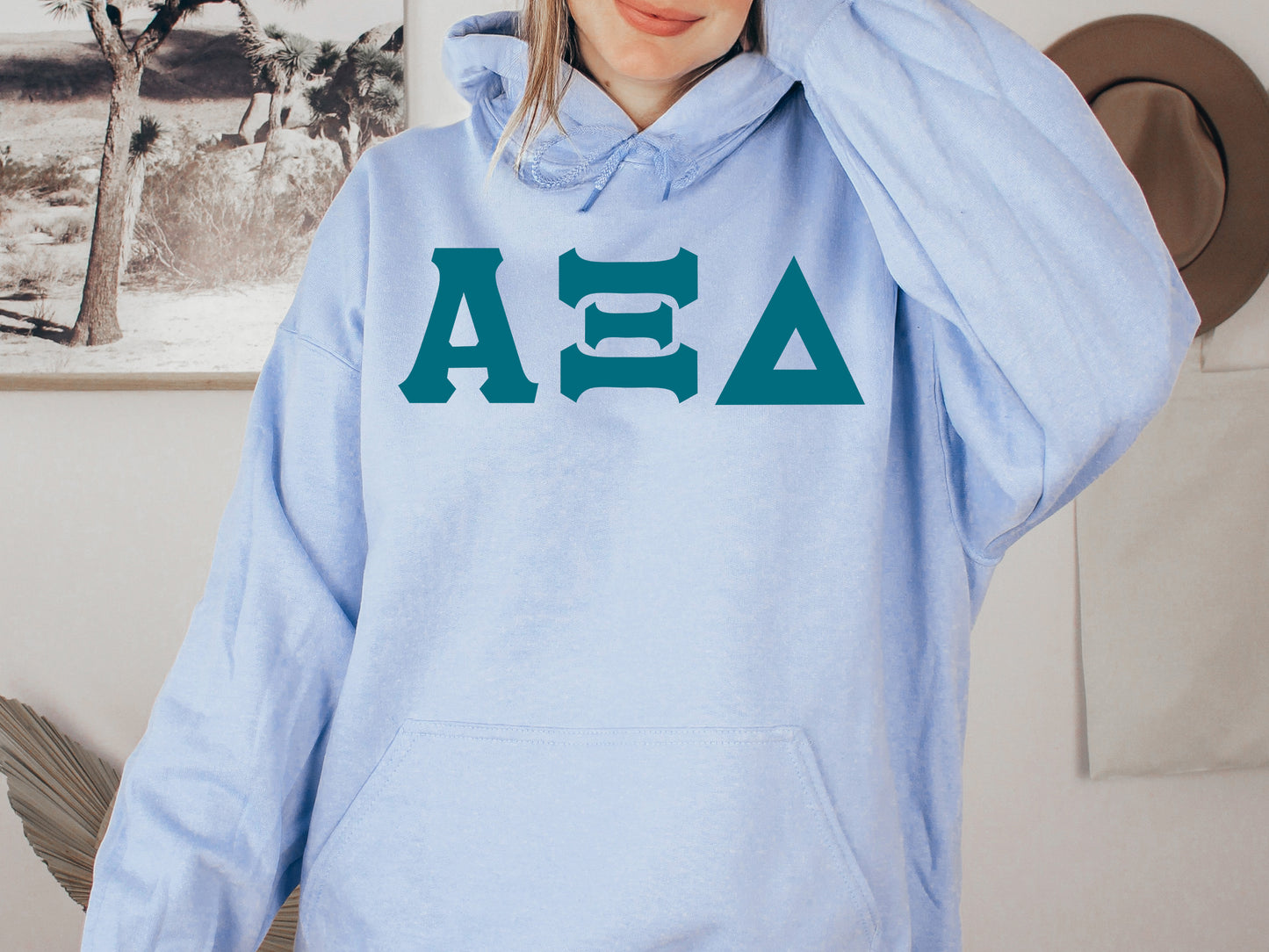 Alpha Xi Delta Back to the Basics Sorority Hoodie _ 630g