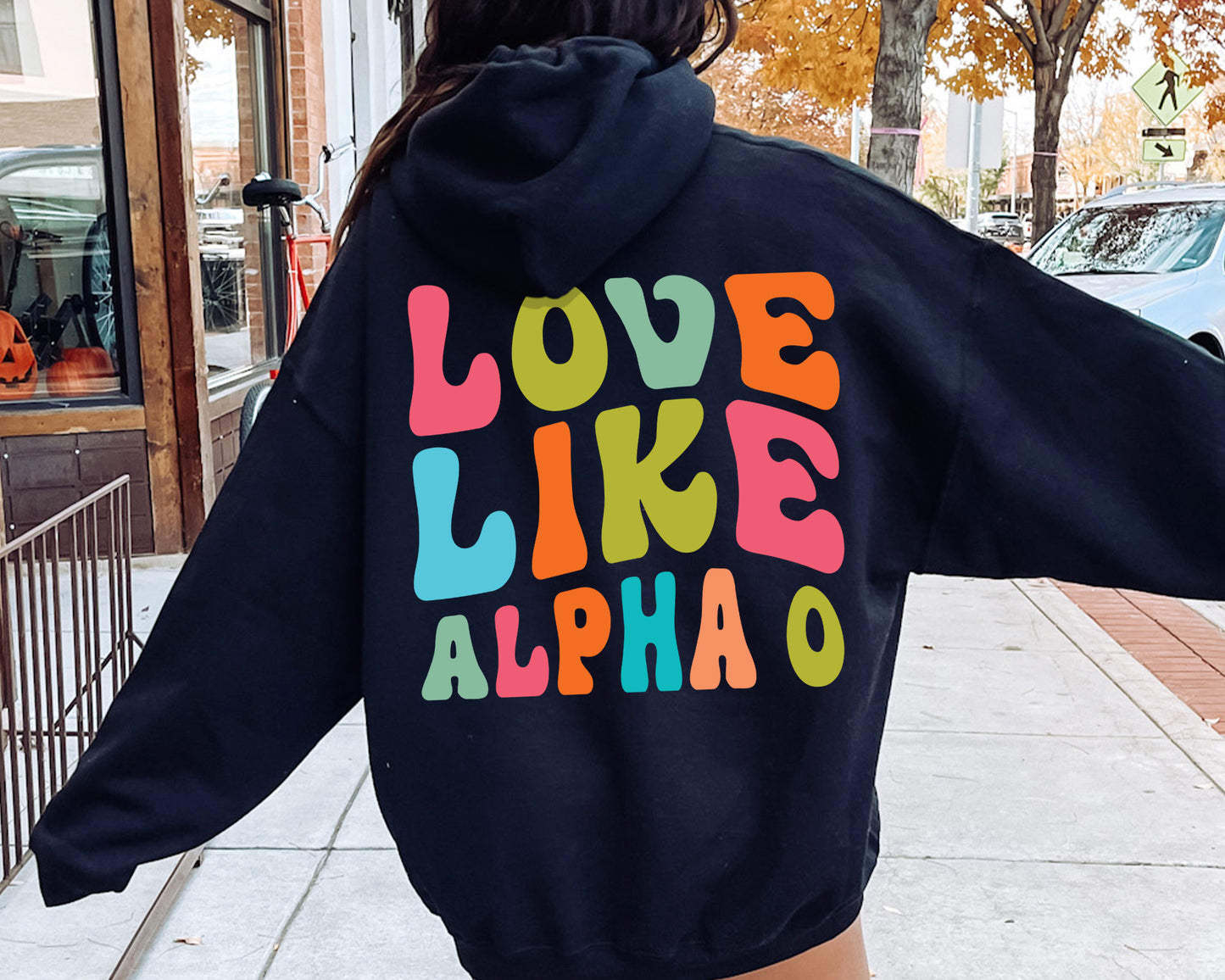 Alpha Omicron Pi Blissful and Vibrant Sorority Hoodie _ 33158g