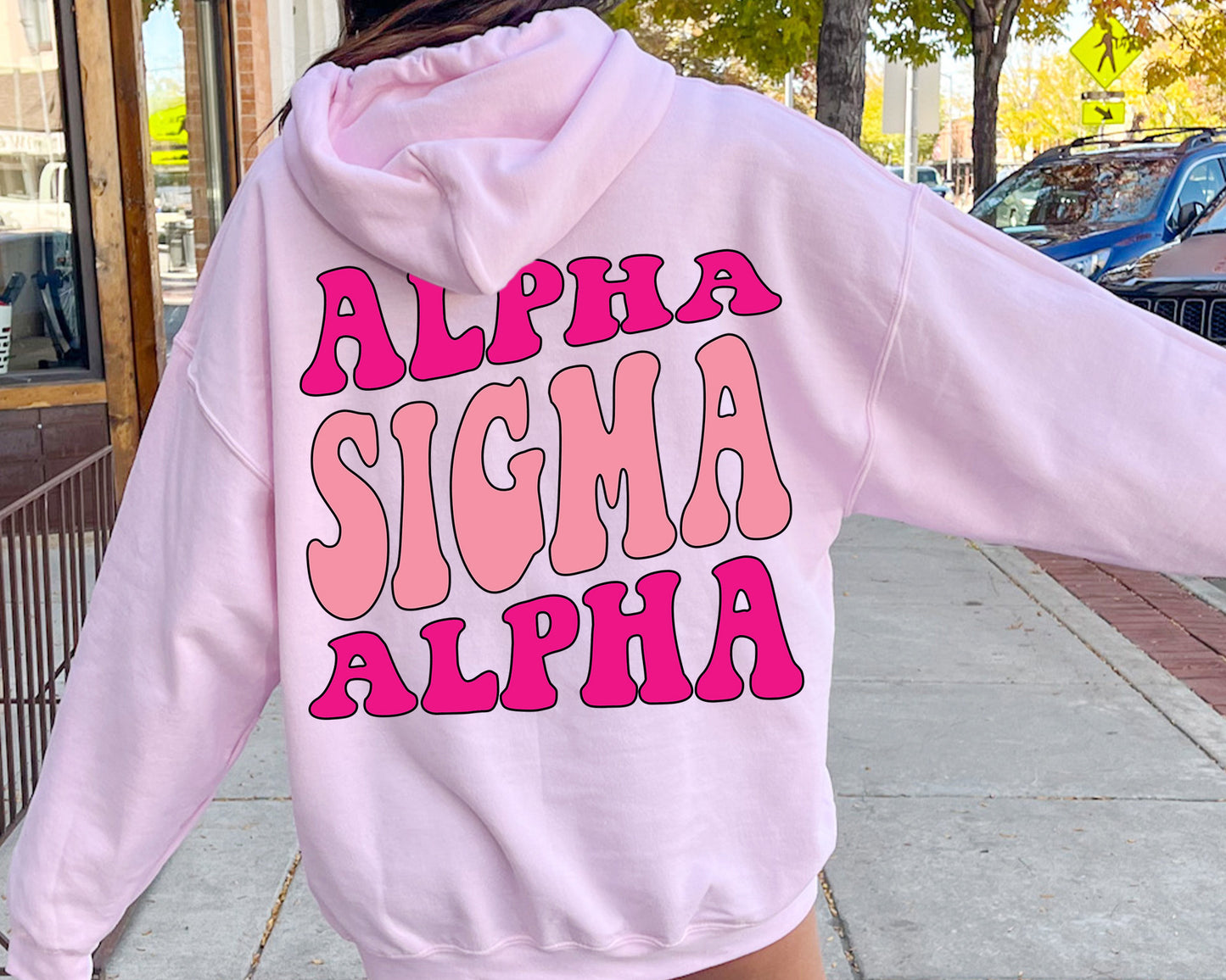 Alpha Sigma Alpha Shades of Pink Sorority Hoodie _ 32978g