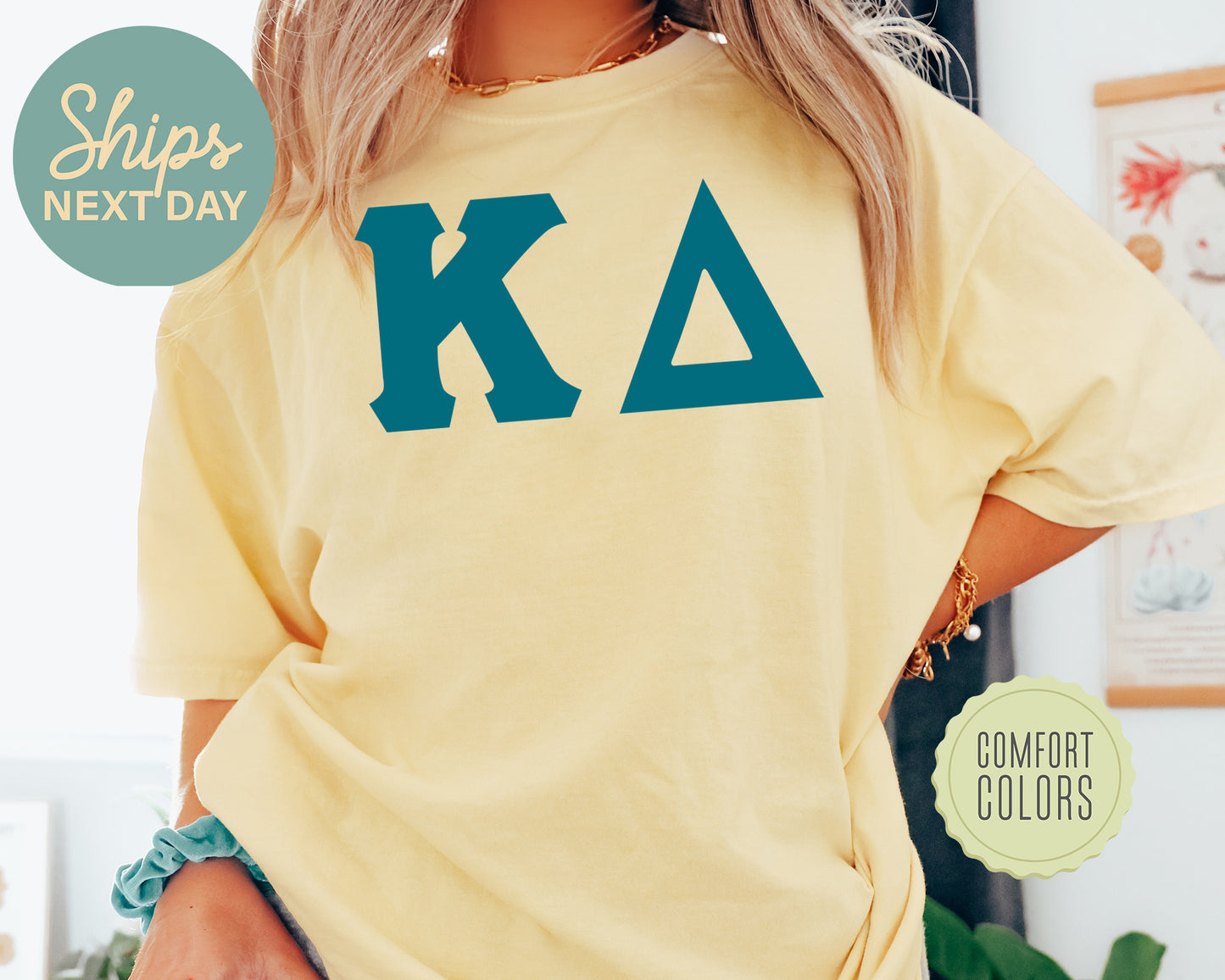 Kappa Delta Back to the Basics Comfort Colors Sorority T-shirt _ 638g