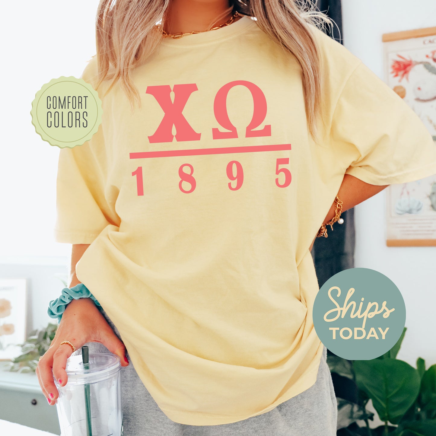 Chi Omega Monochromatic Comfort Colors Sorority T-shirt _ 30852g