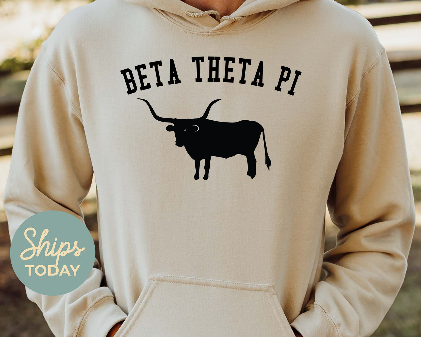 Beta Theta Pi Long Horn Fraternity Hoodie _ 1528g