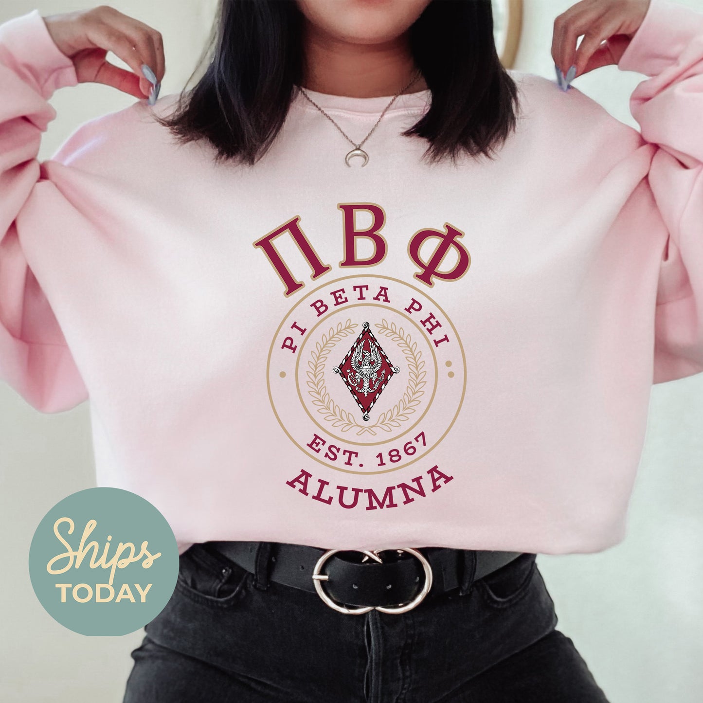 Pi Beta Phi Alumna Vintage Sorority Sweatshirt _ 31029g