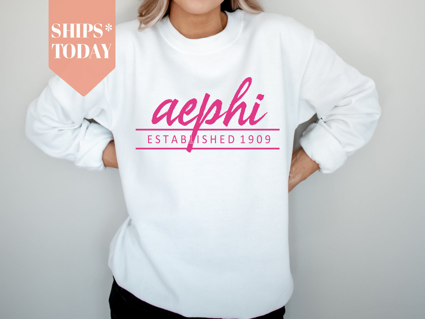 Alpha Epsilon Phi All Pink Sorority Sweatshirt _ 754g
