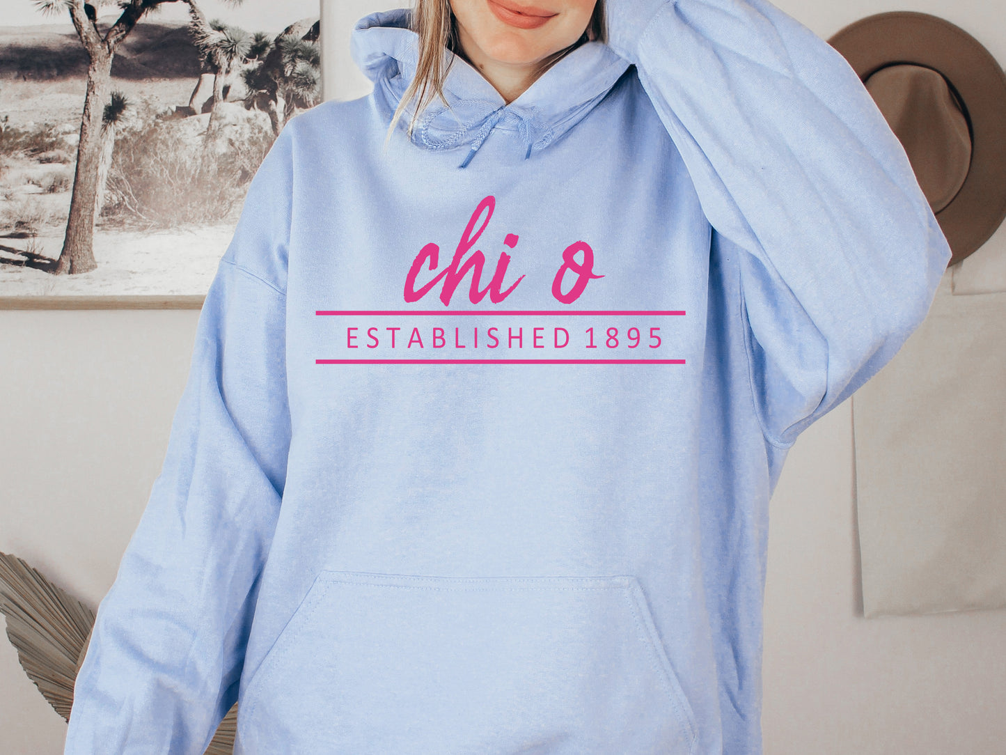Chi Omega All Pink Sorority Hoodie _ 761g