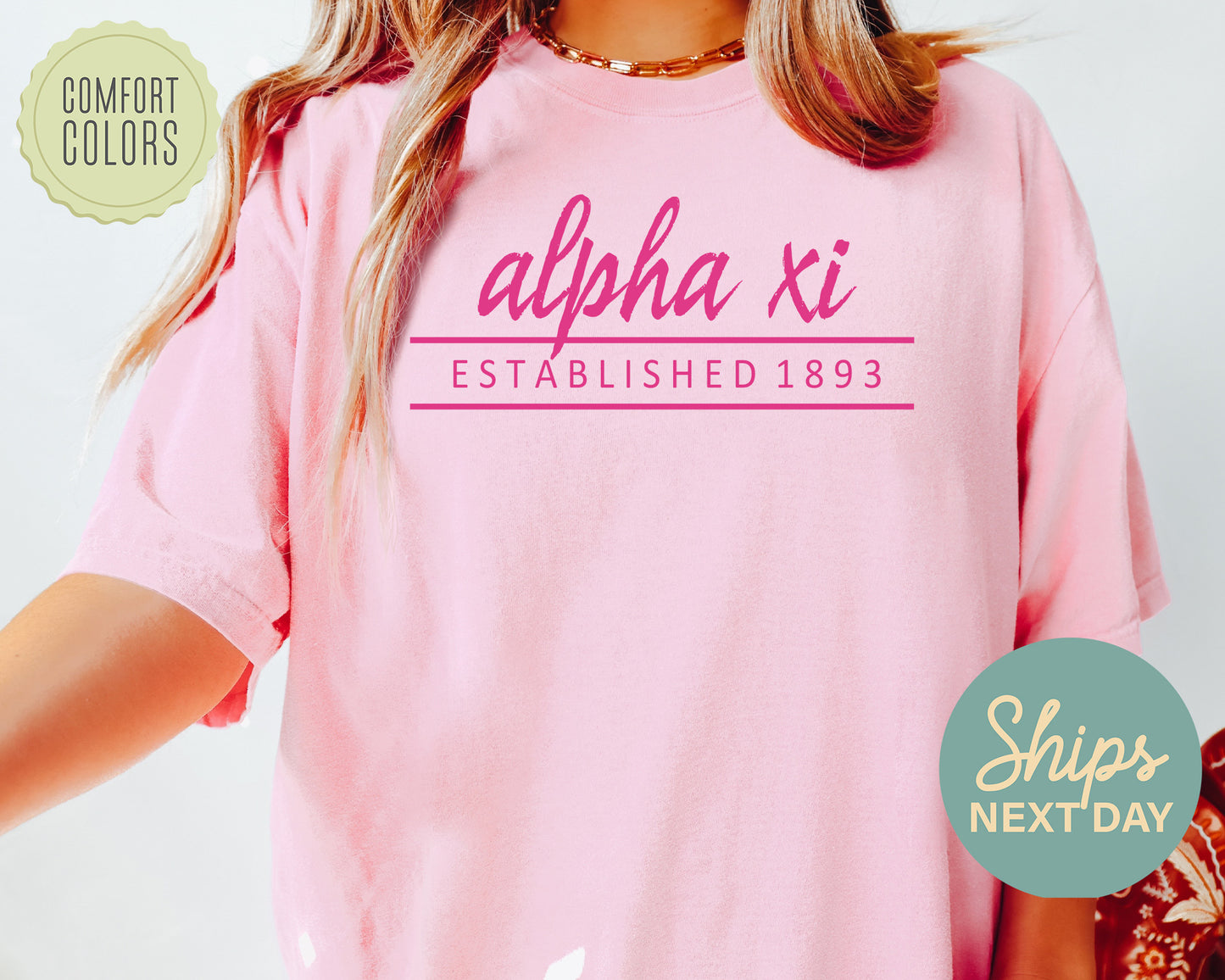 Alpha Xi Delta All Pink Comfort Colors Sorority T-shirt _ 760g