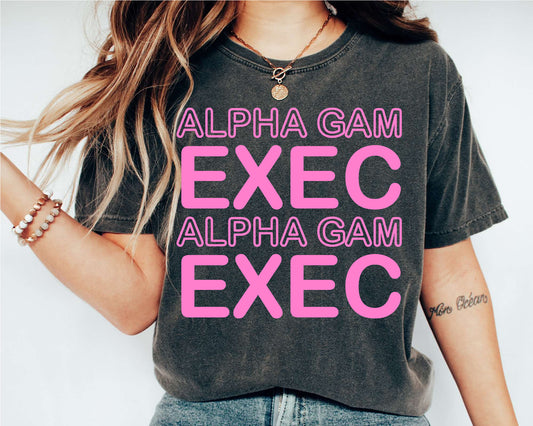 Alpha Gamma Delta Executive Sisterhood Sorority T-shirt _ 30903g